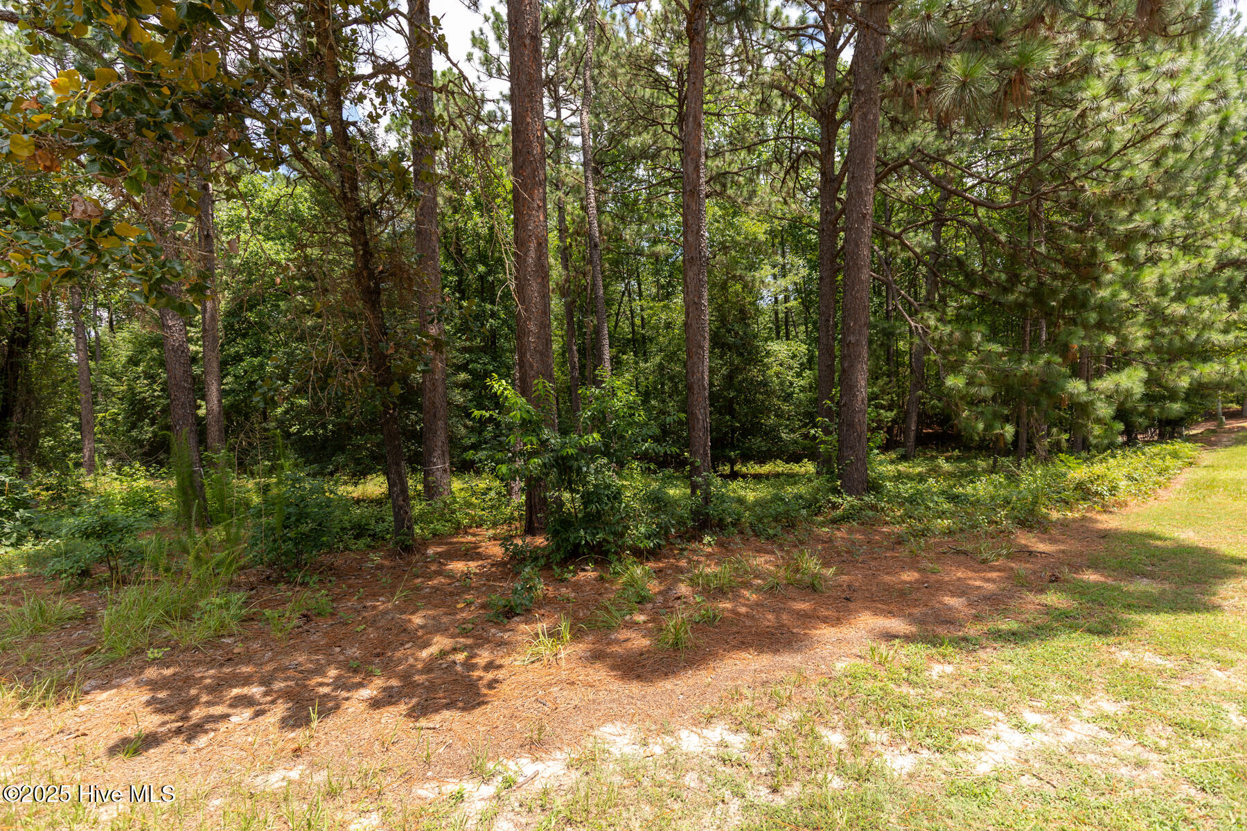 20 3785R Kilbride Drive, Pinehurst