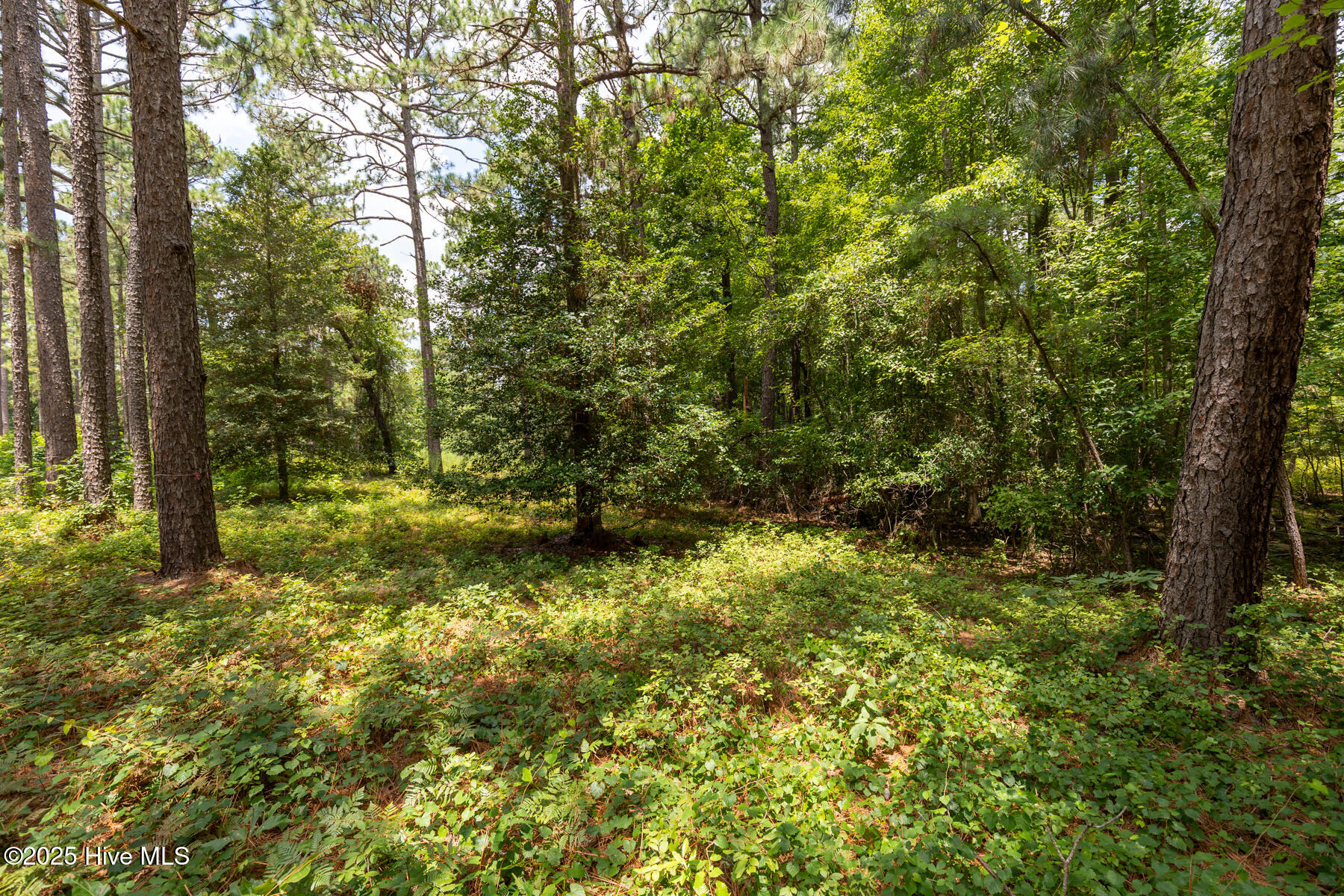 20 3785R Kilbride Drive, Pinehurst