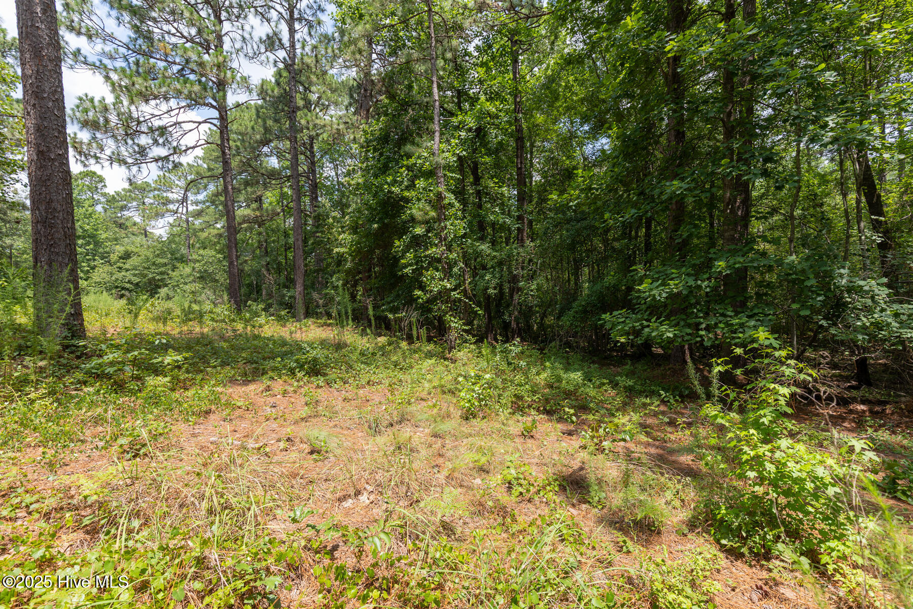 20 3785R Kilbride Drive, Pinehurst
