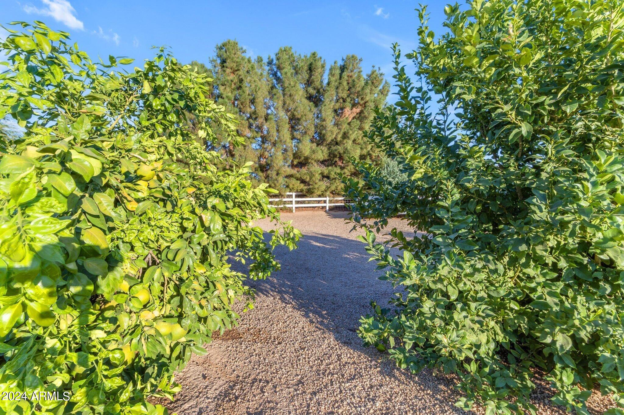 21315 E MARSH Road