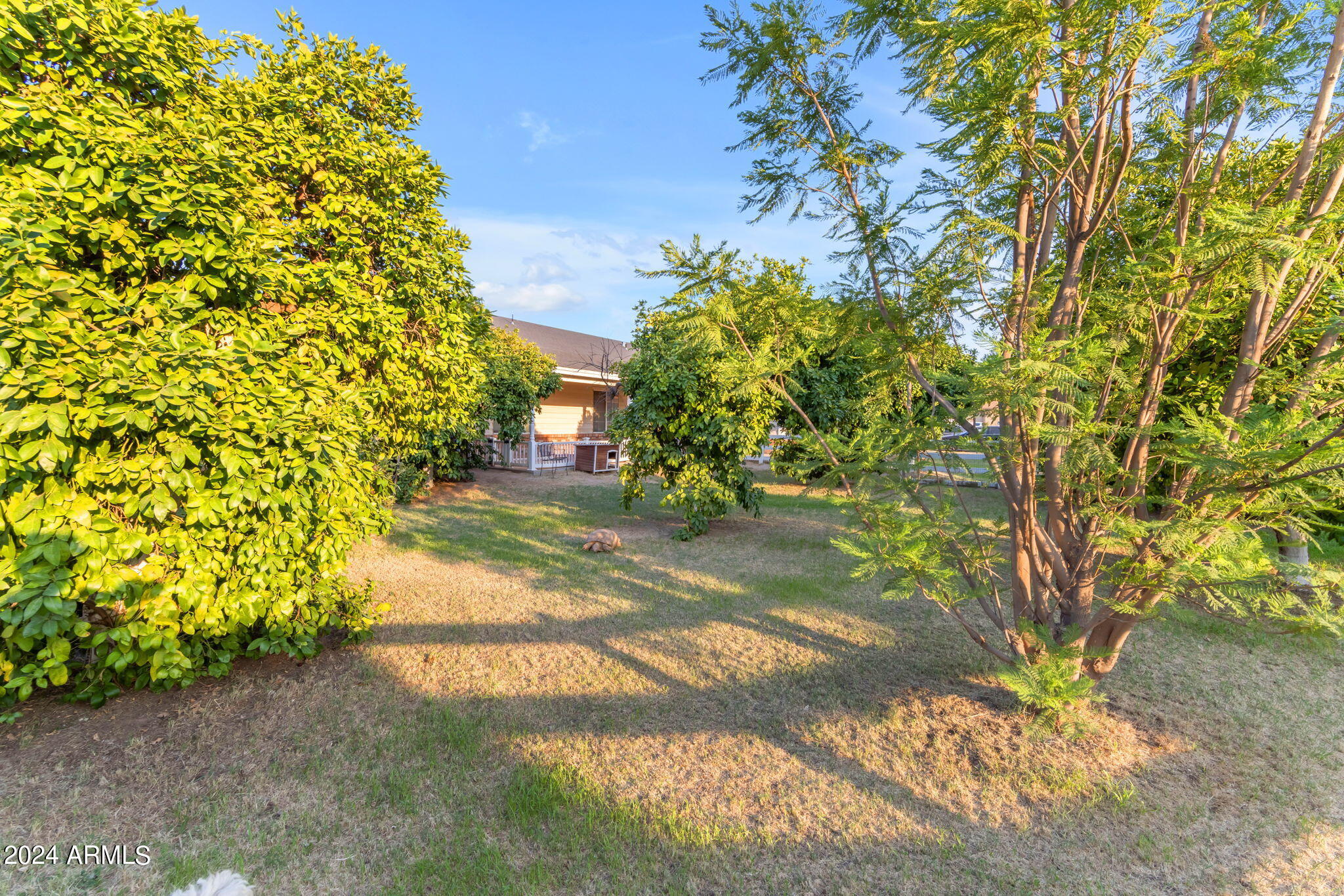25507 S 190TH Place