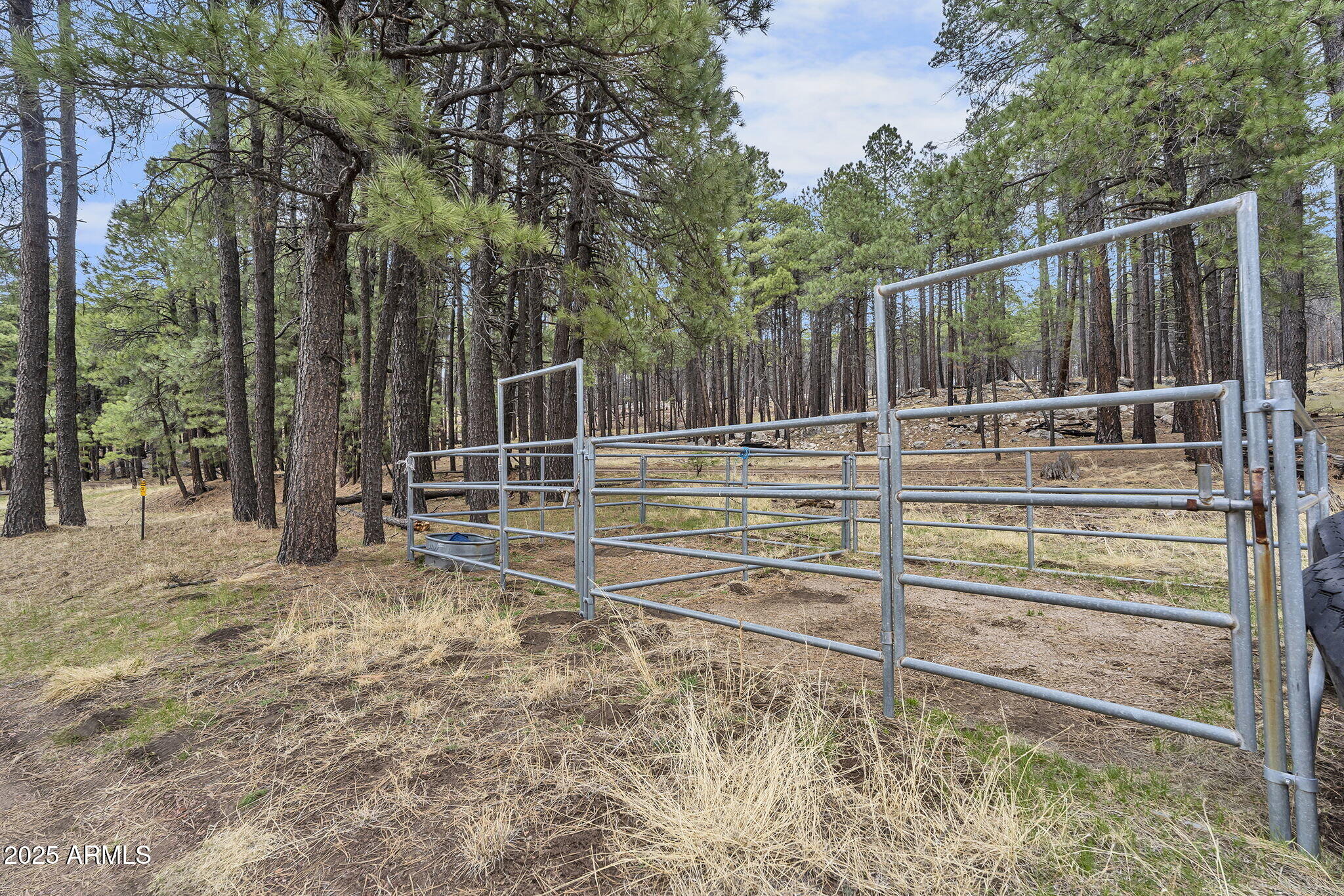 5348 FOREST SERVICE 701 Road