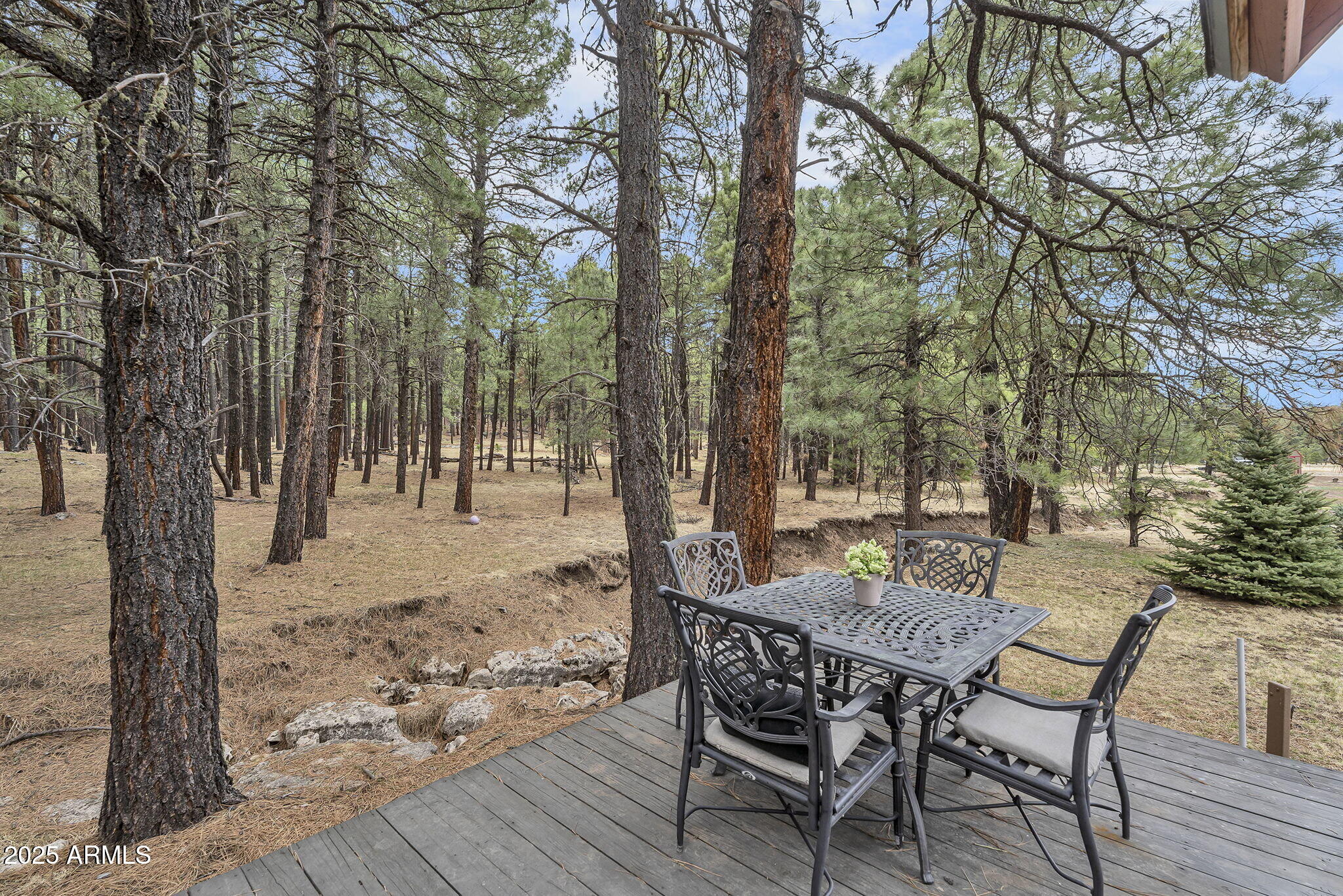 5348 FOREST SERVICE 701 Road