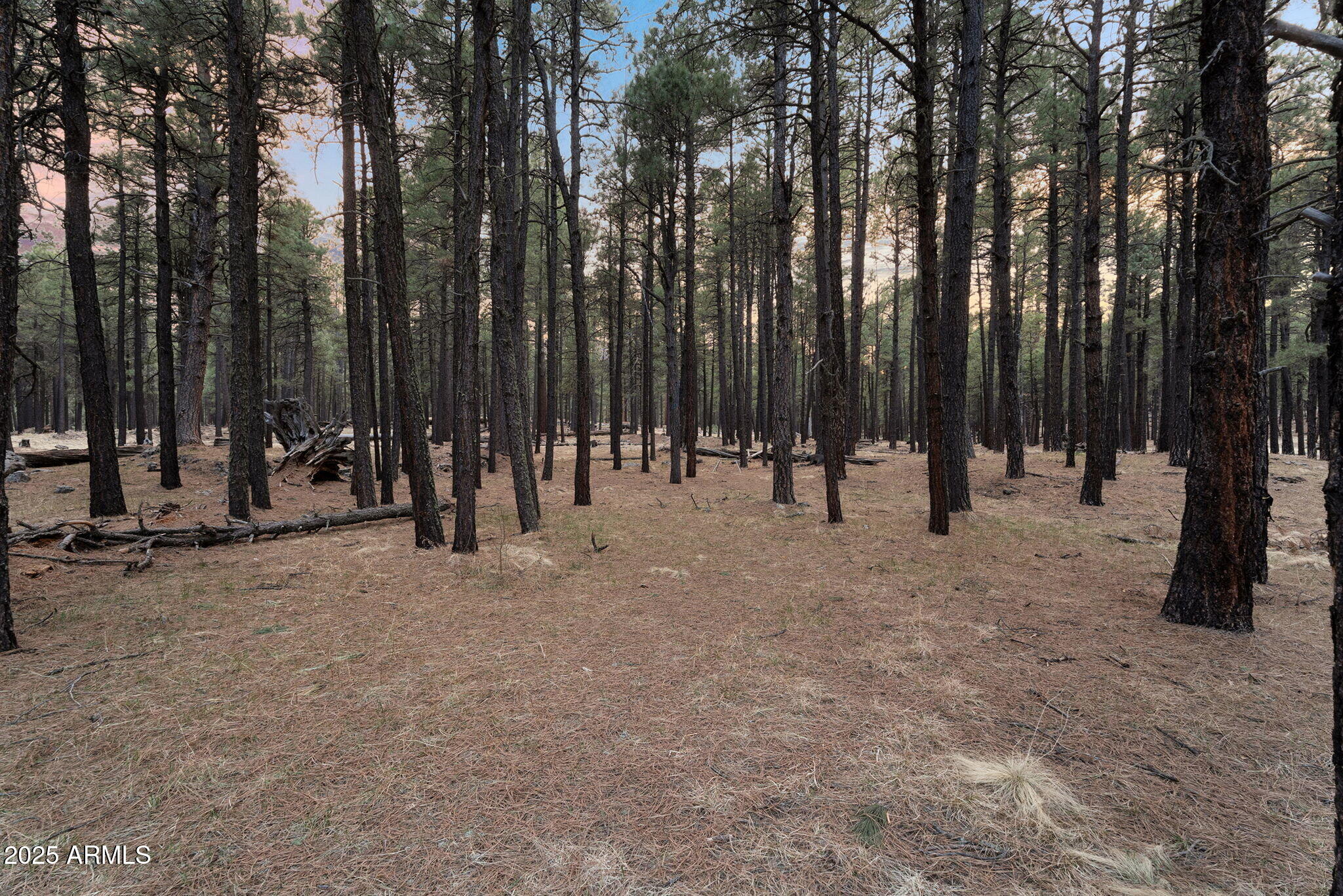 5348 FOREST SERVICE 701 Road