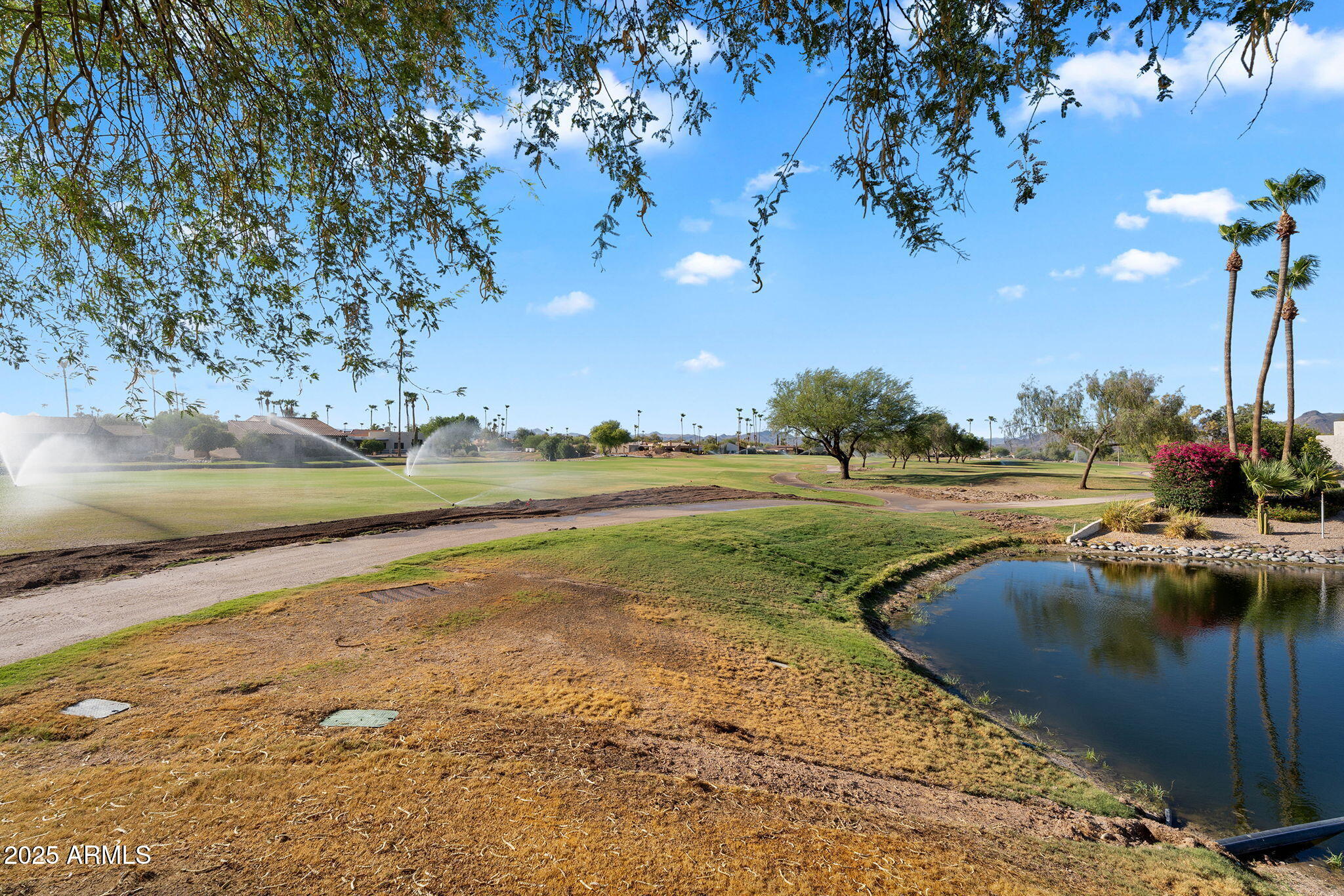 25476 N DANNY Lane