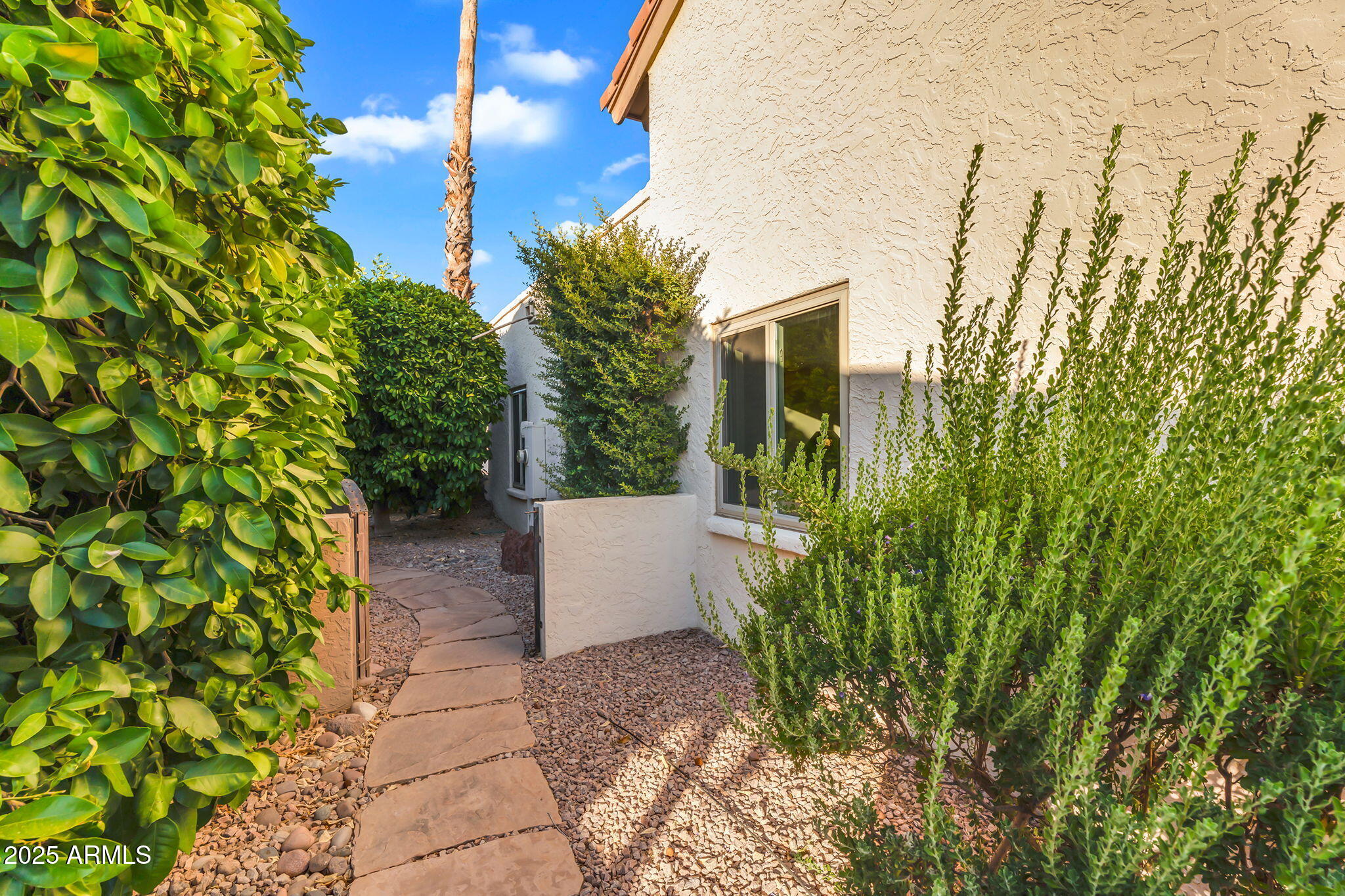 25476 N DANNY Lane
