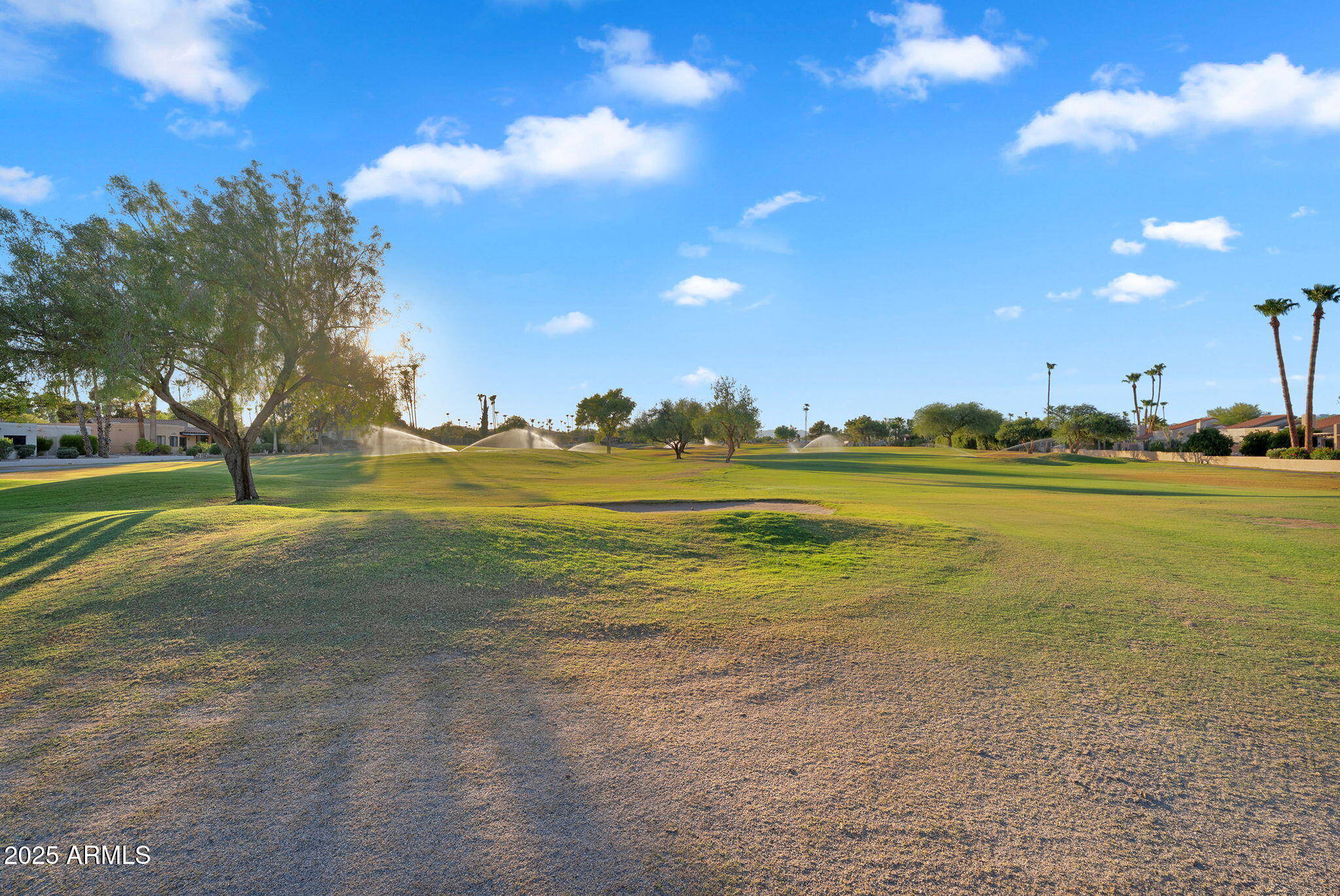 25476 N DANNY Lane