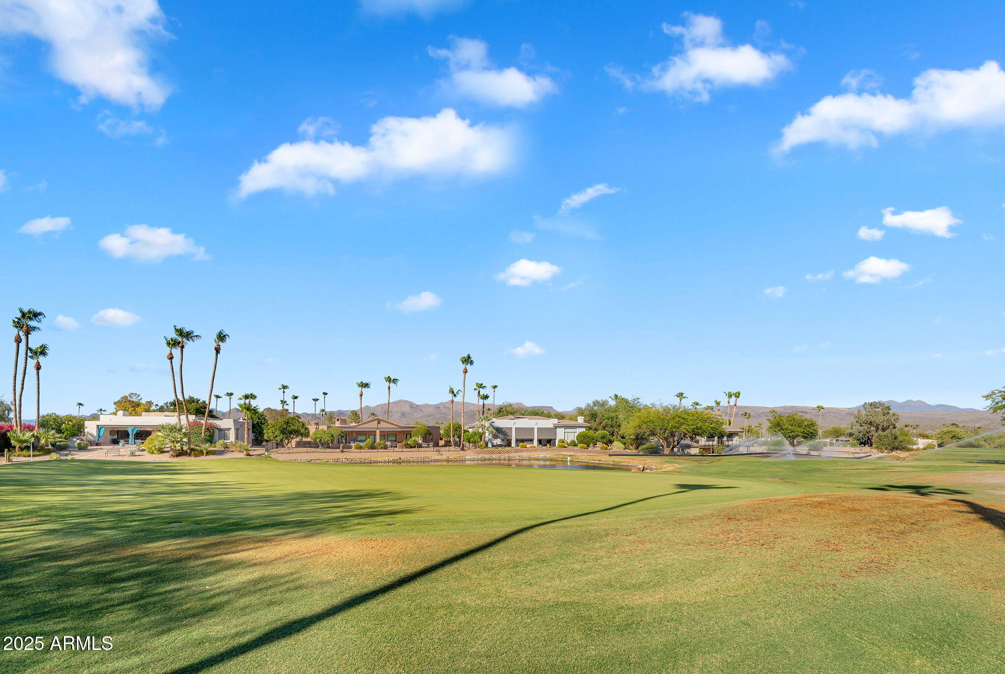 25476 N DANNY Lane