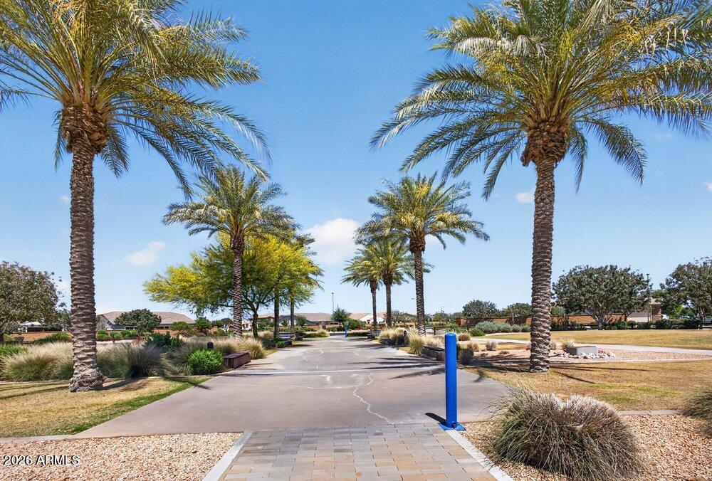 23088 E CAMINA BUENA Vista