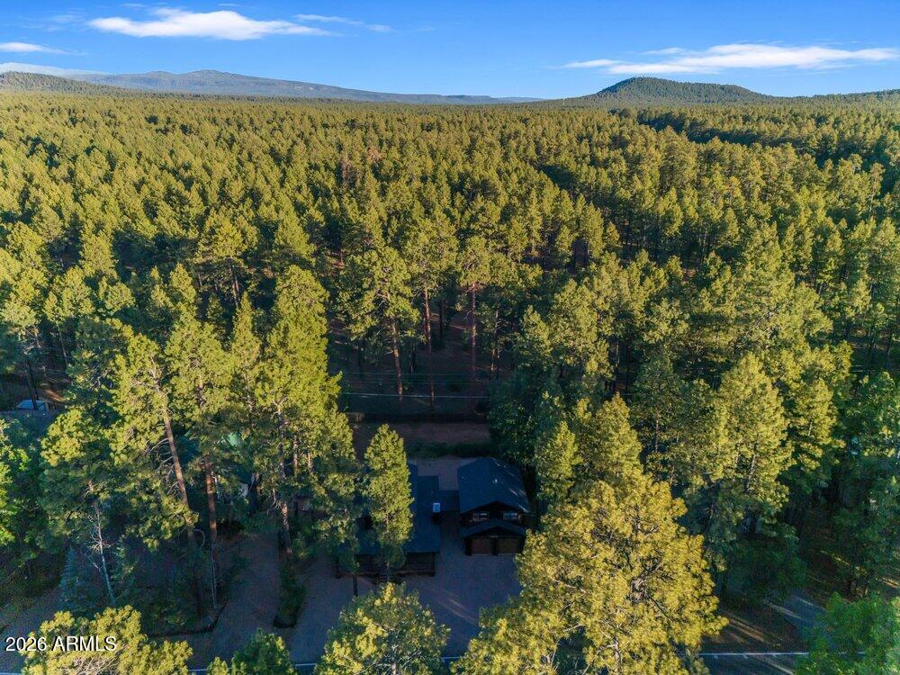 4251 Branding Iron Loop Loop