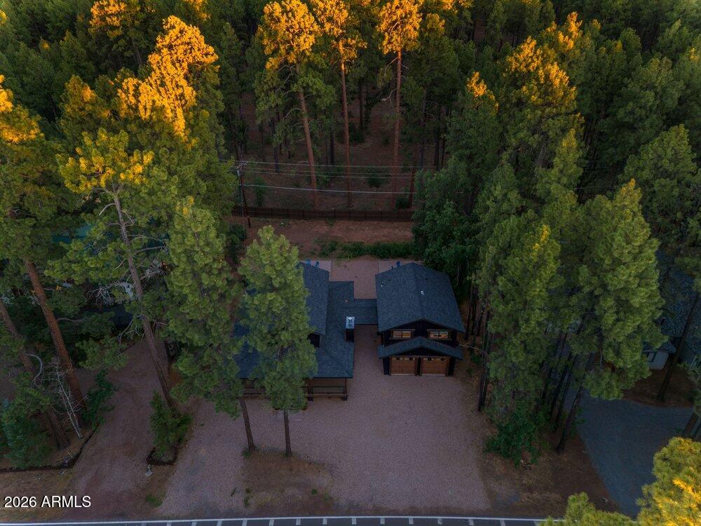 4251 Branding Iron Loop Loop