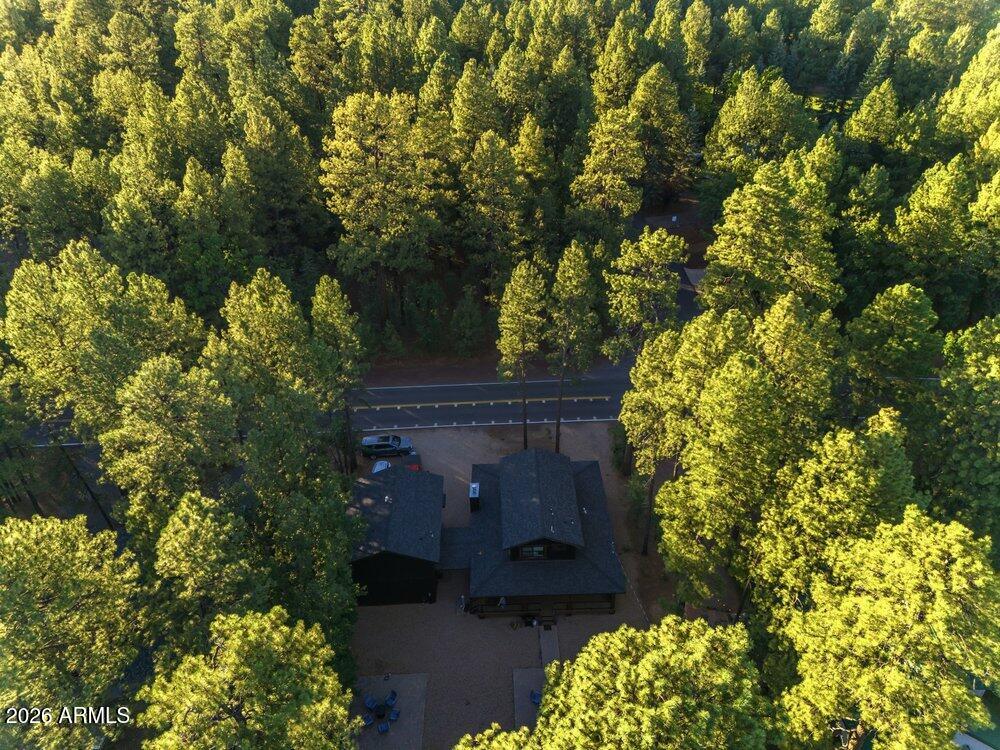4251 Branding Iron Loop Loop