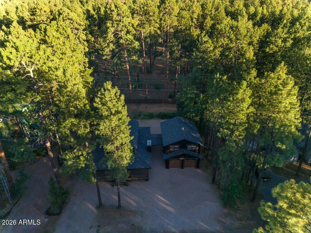 4251 Branding Iron Loop Loop