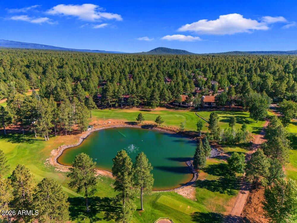 4273 E Branding Iron Loop Loop