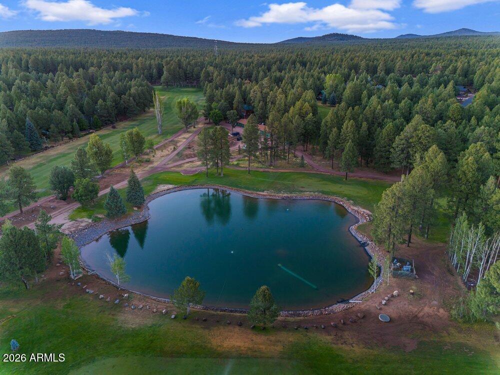 4273 E Branding Iron Loop Loop