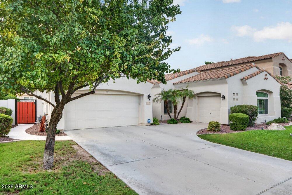 1613 W KAIBAB Drive