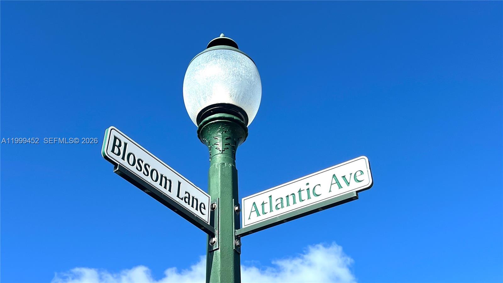 200 Blossom Lane