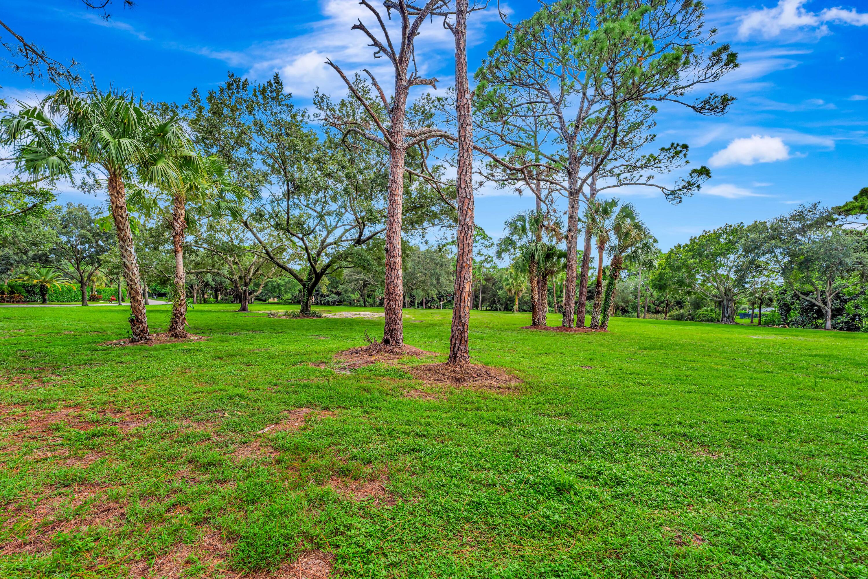 8267 Nashua Drive