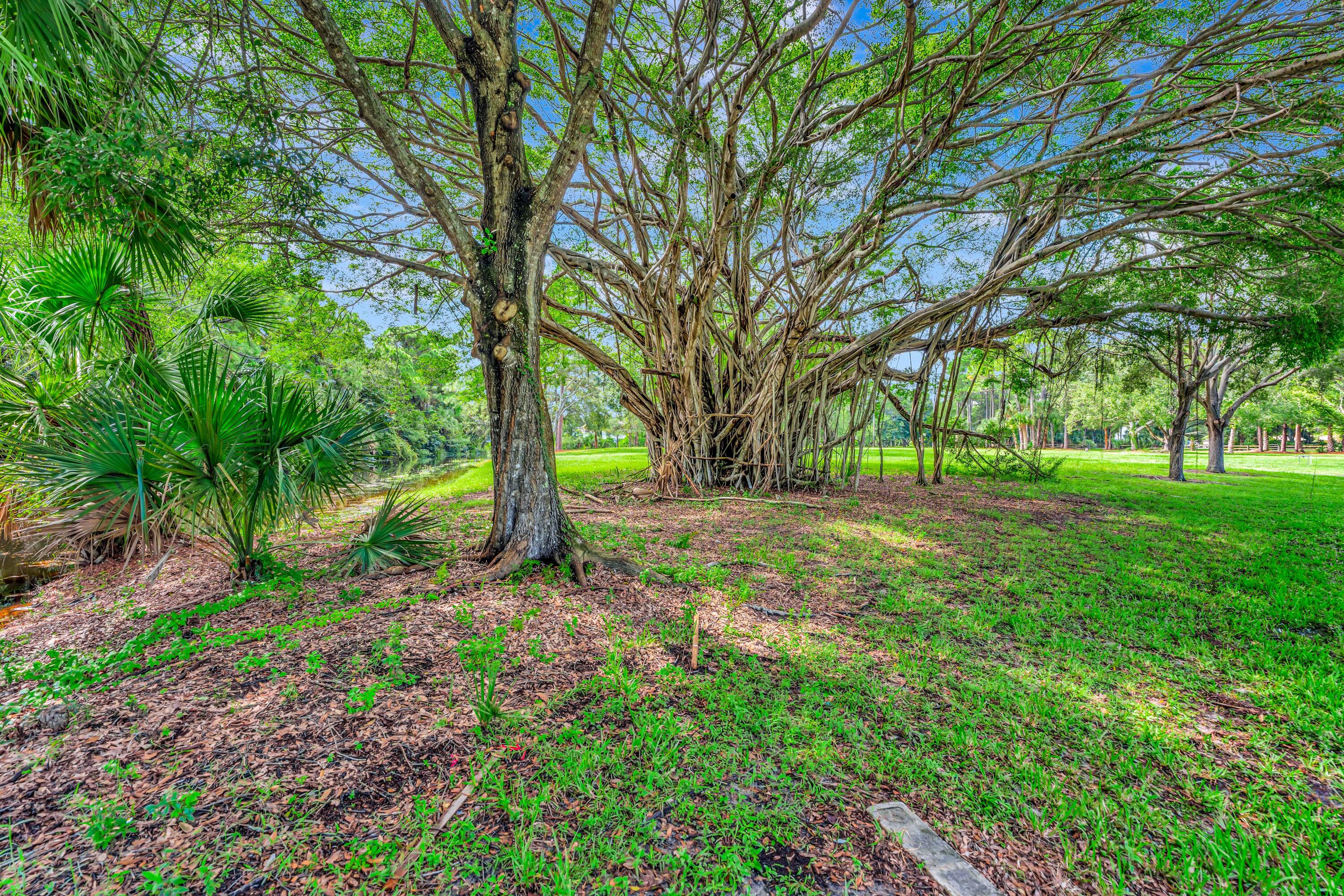 8267 Nashua Drive