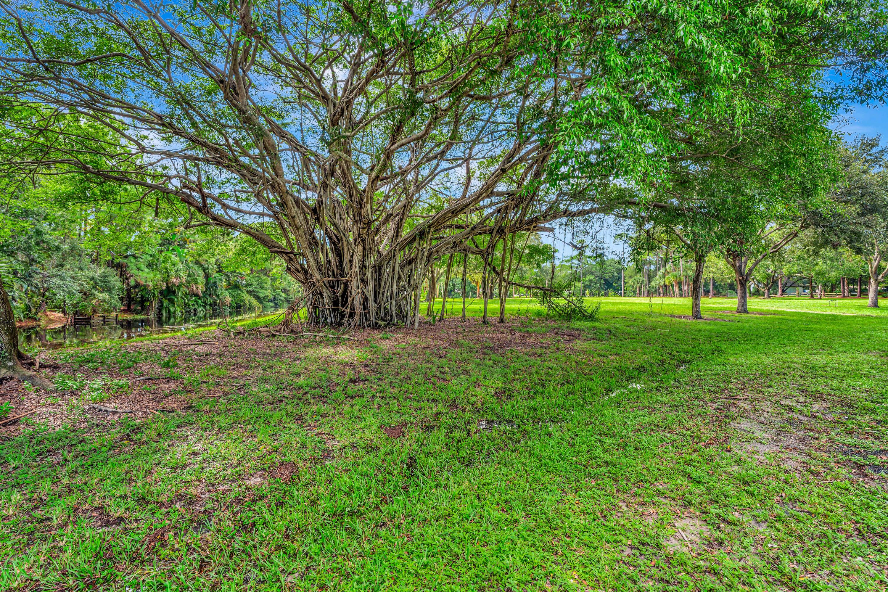 8267 Nashua Drive