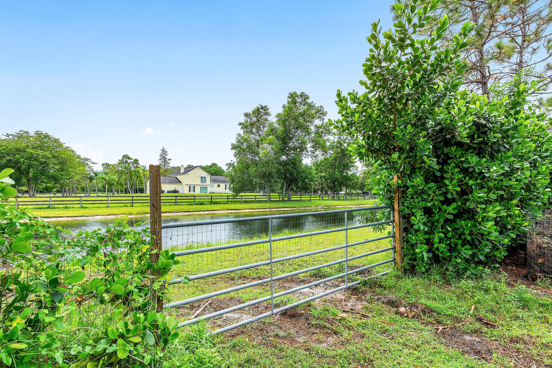 11516 Hawk Hollow