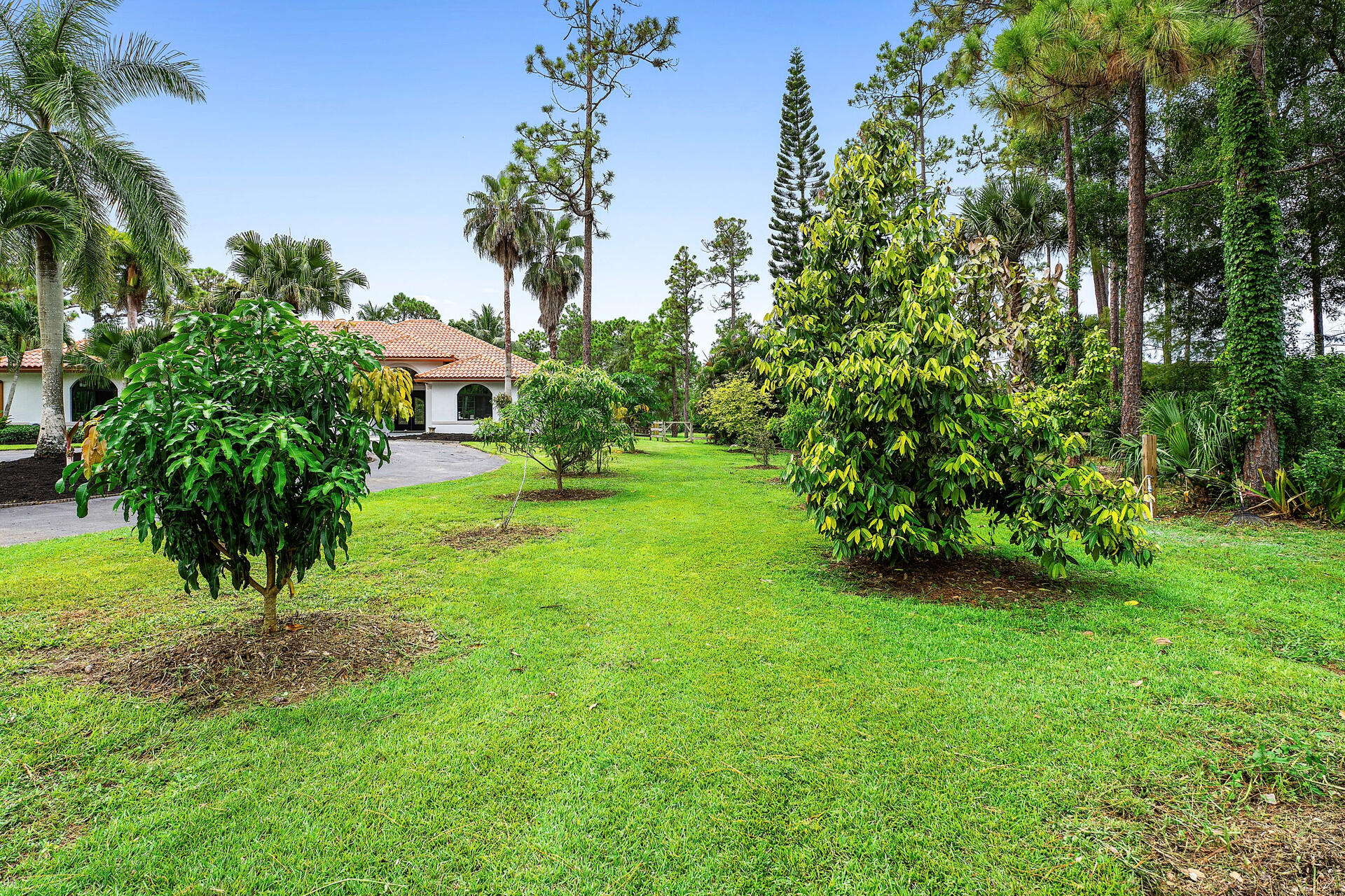 11516 Hawk Hollow