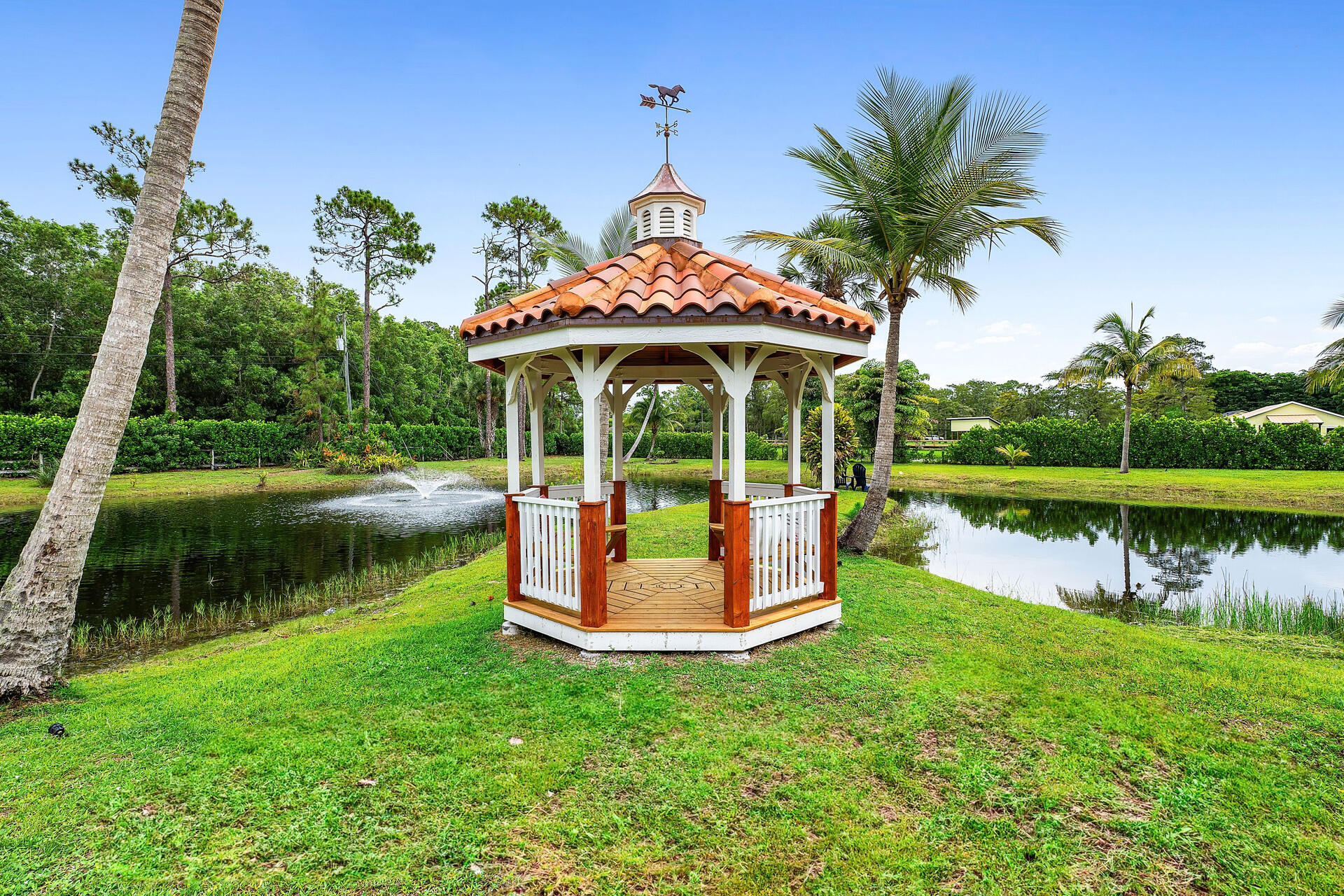 11516 Hawk Hollow