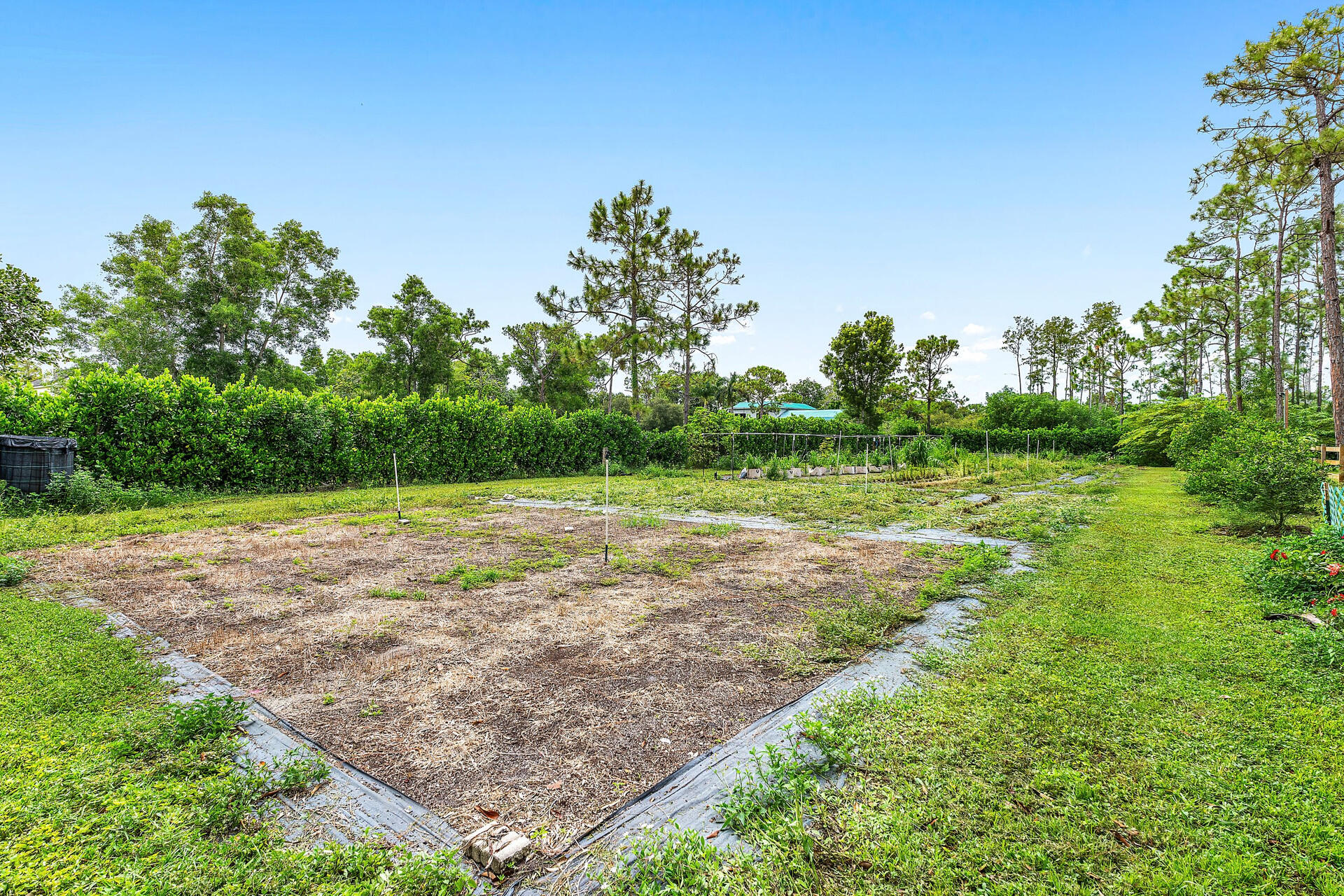 11516 Hawk Hollow