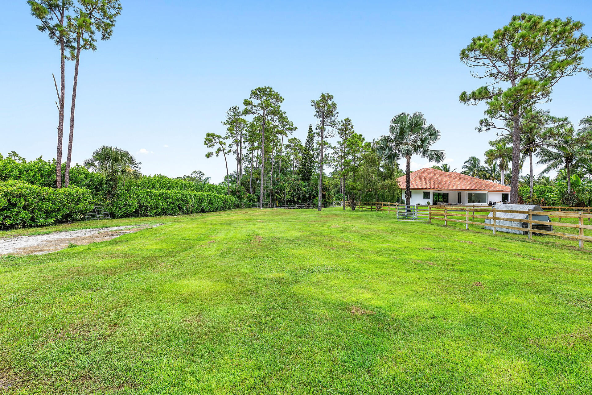 11516 Hawk Hollow