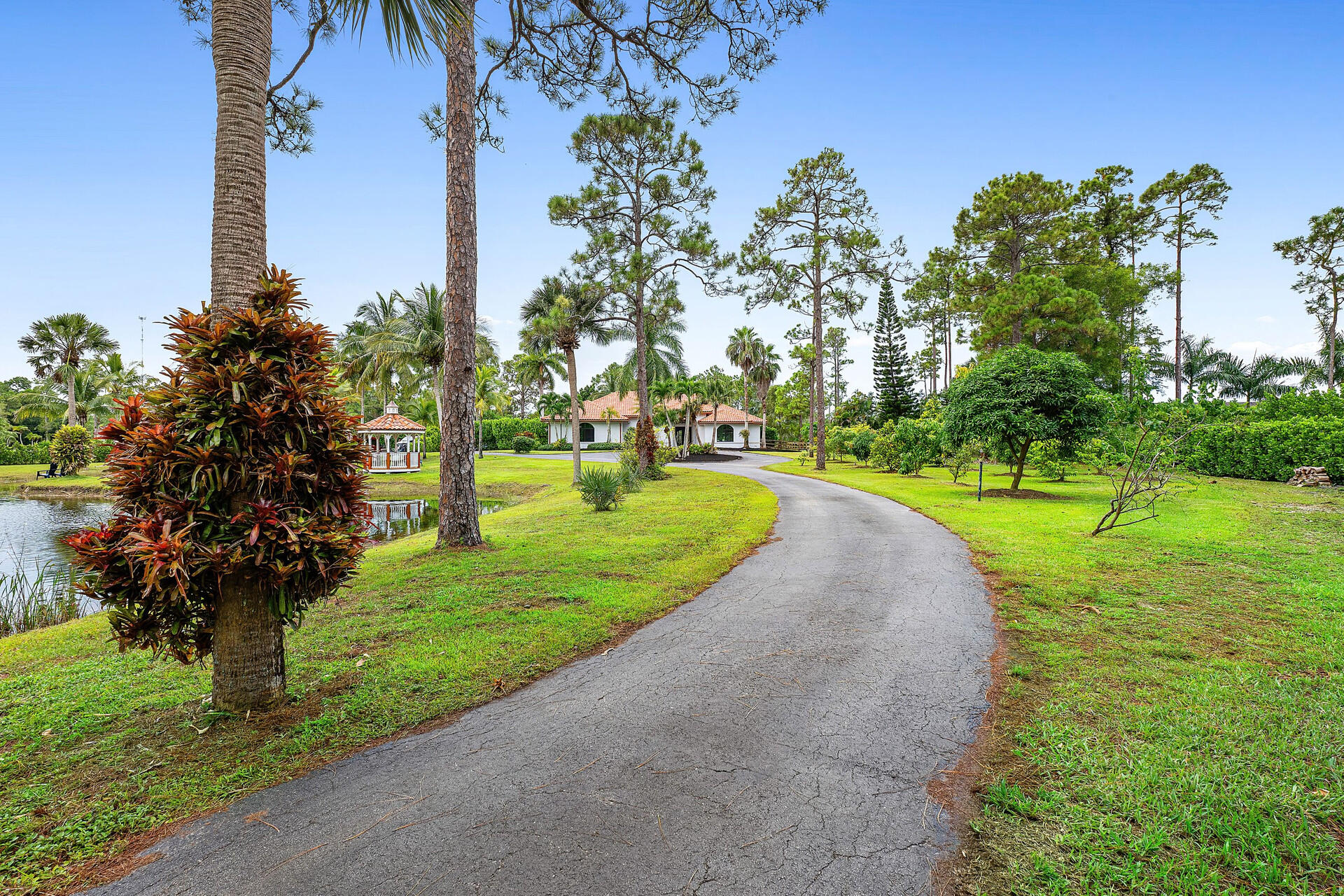 11516 Hawk Hollow