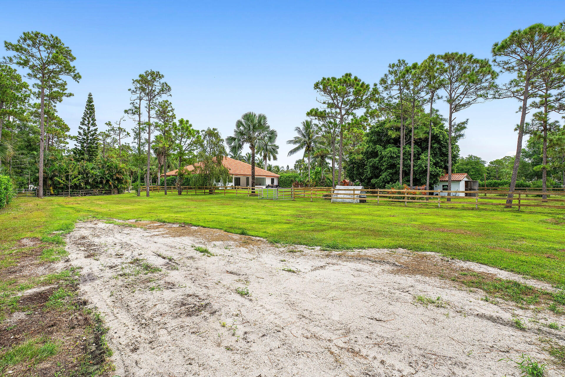 11516 Hawk Hollow