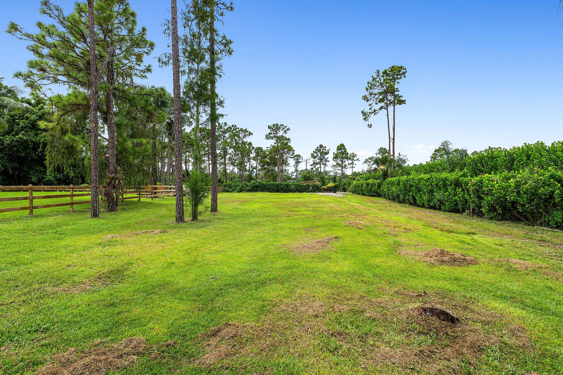 11516 Hawk Hollow