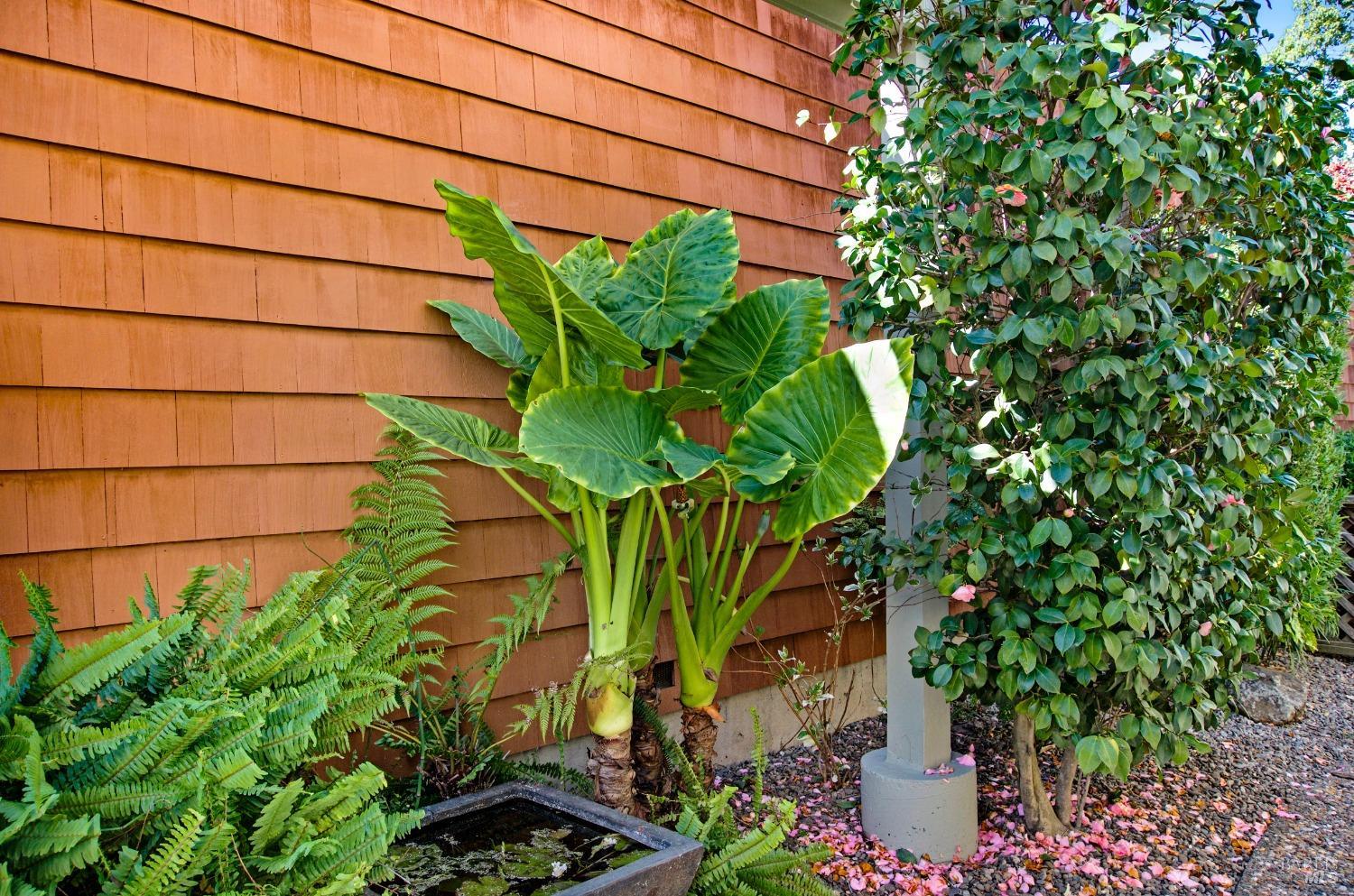 1317 Avenida Sebastiani