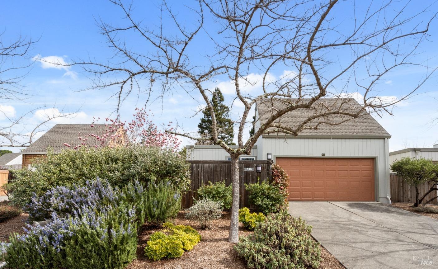 339 Buttercup Ct