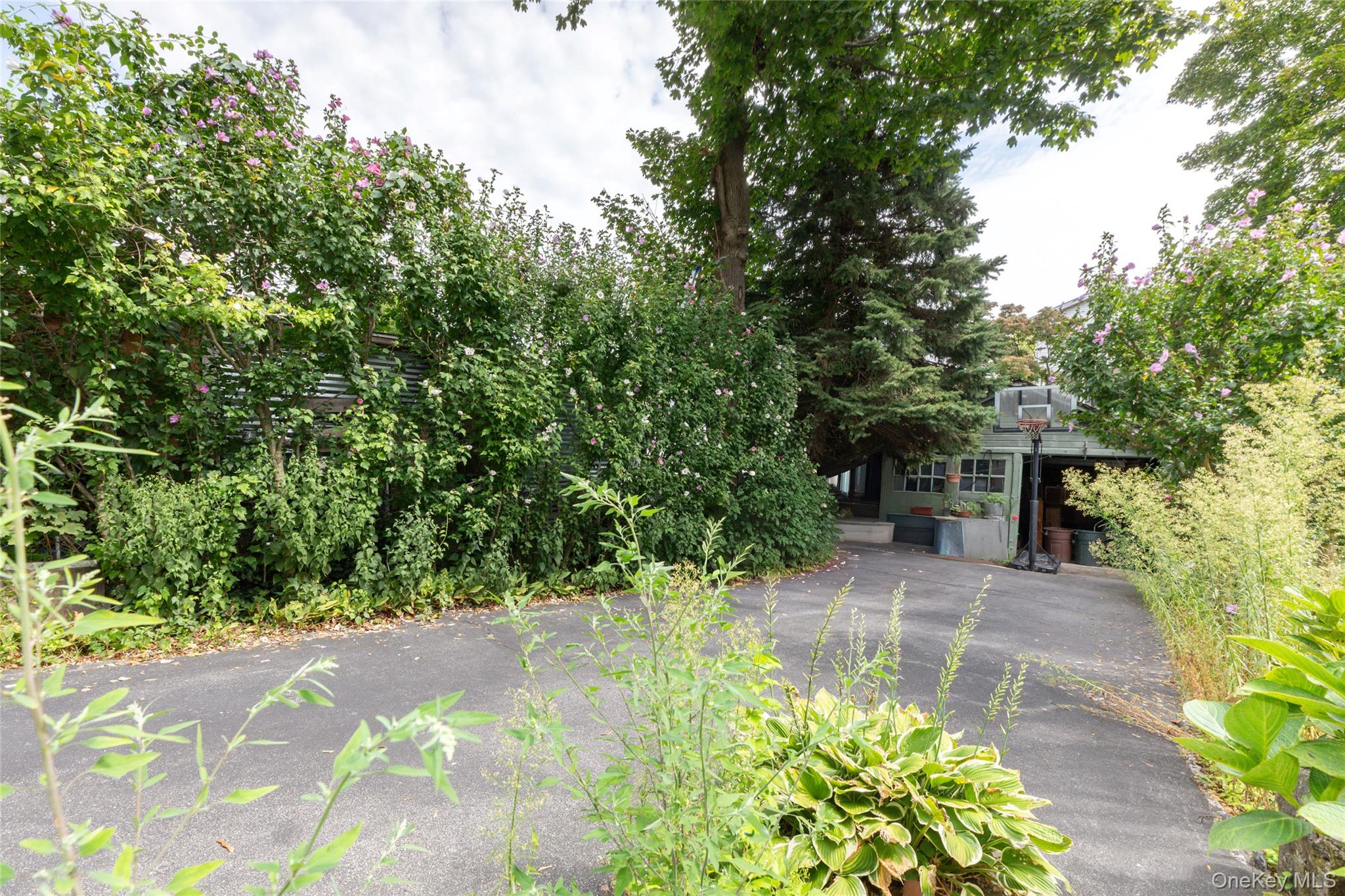 531 1/2 Willett Avenue