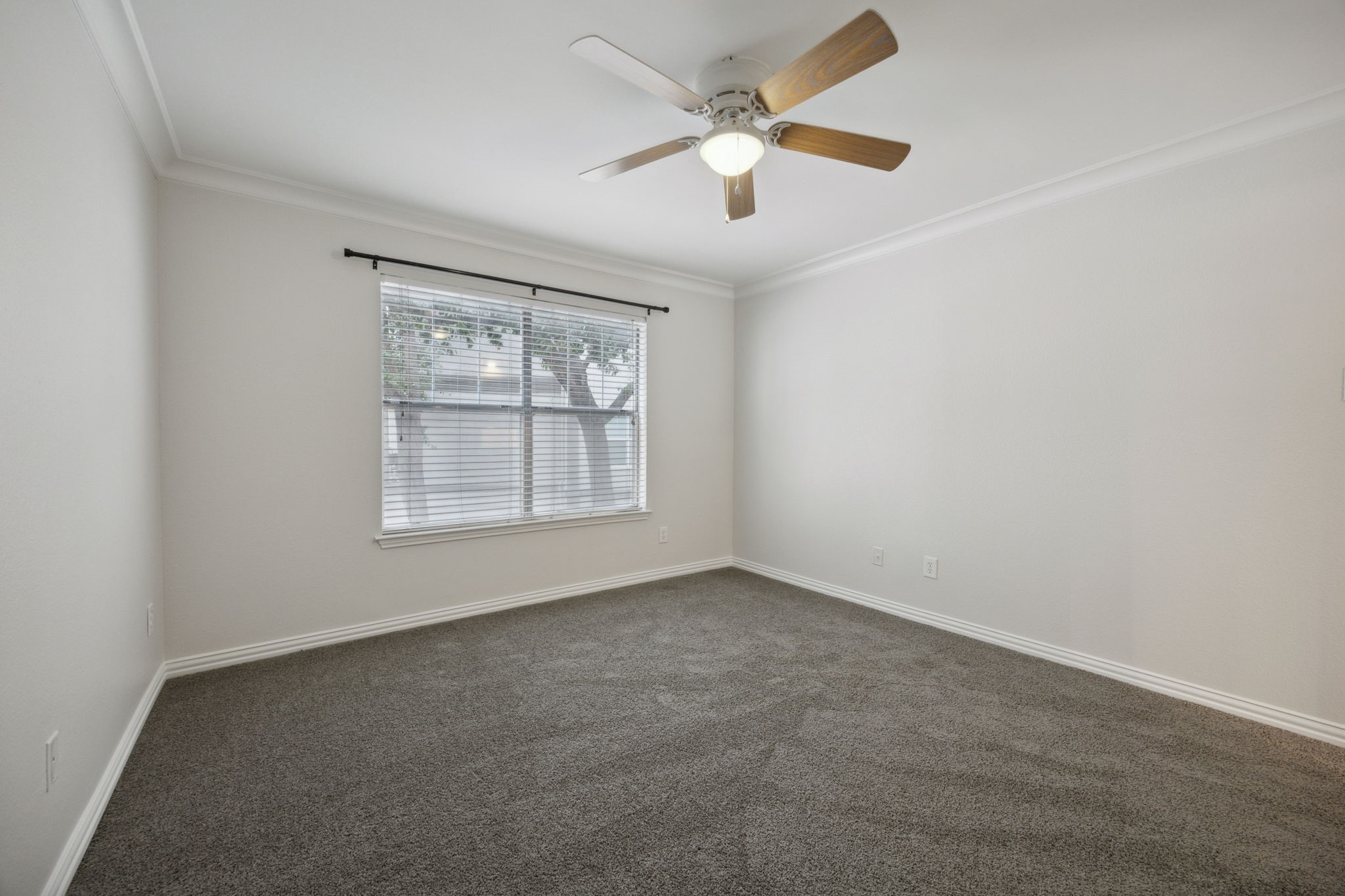 2201 Wolf Street 5104