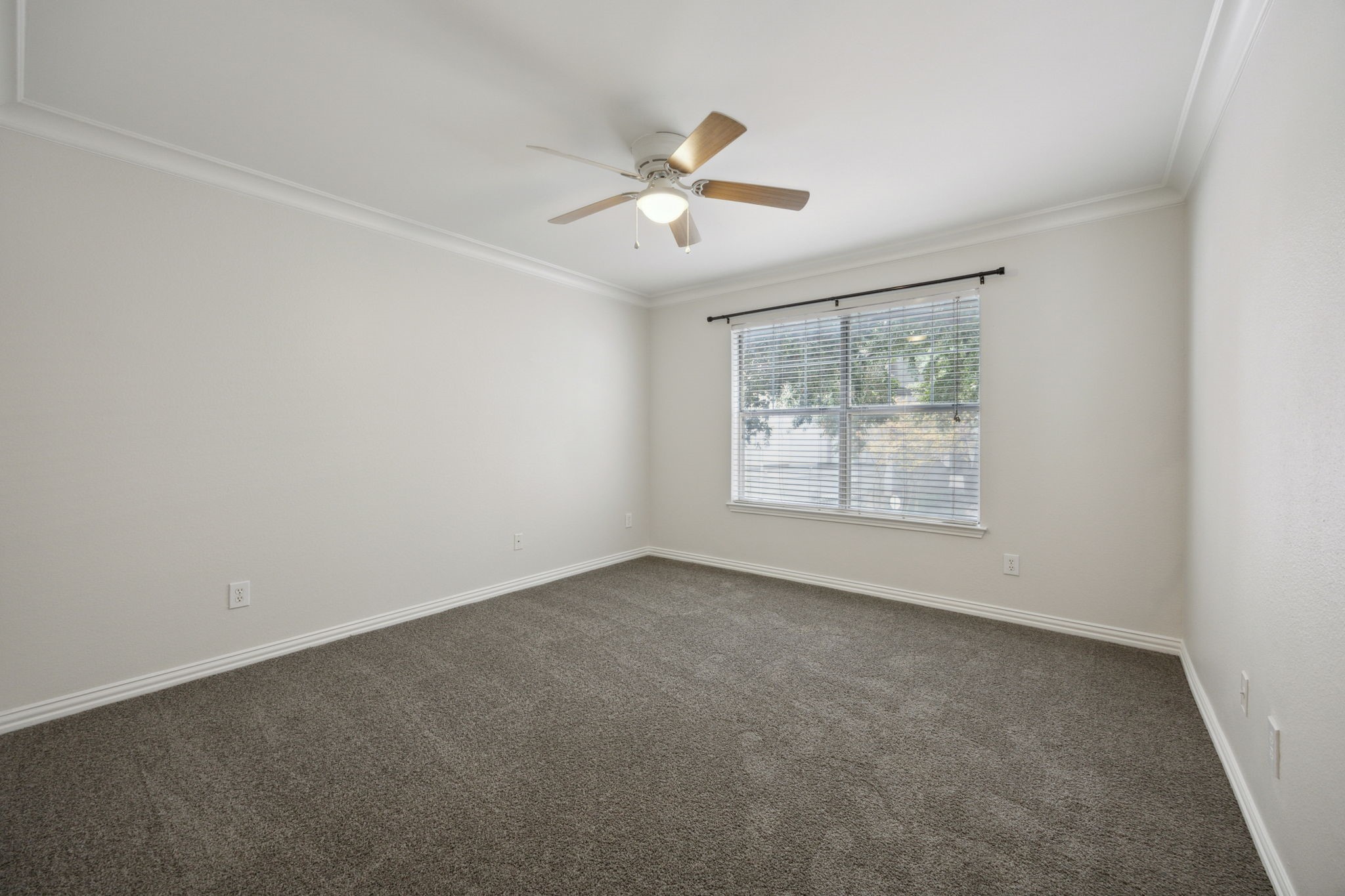 2201 Wolf Street 5104