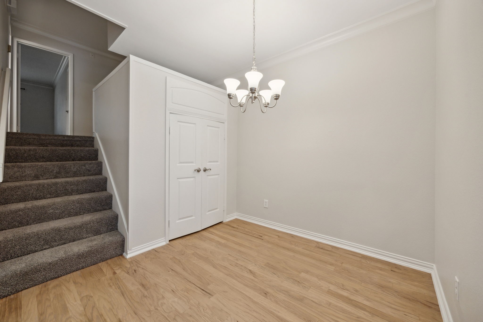 2201 Wolf Street 5104