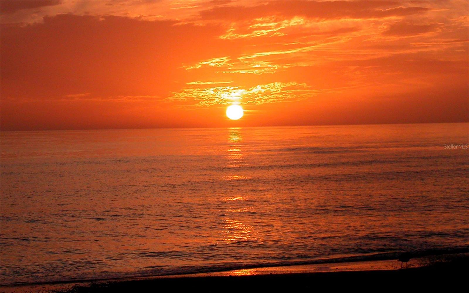 5531 CALLE DEL VERANO