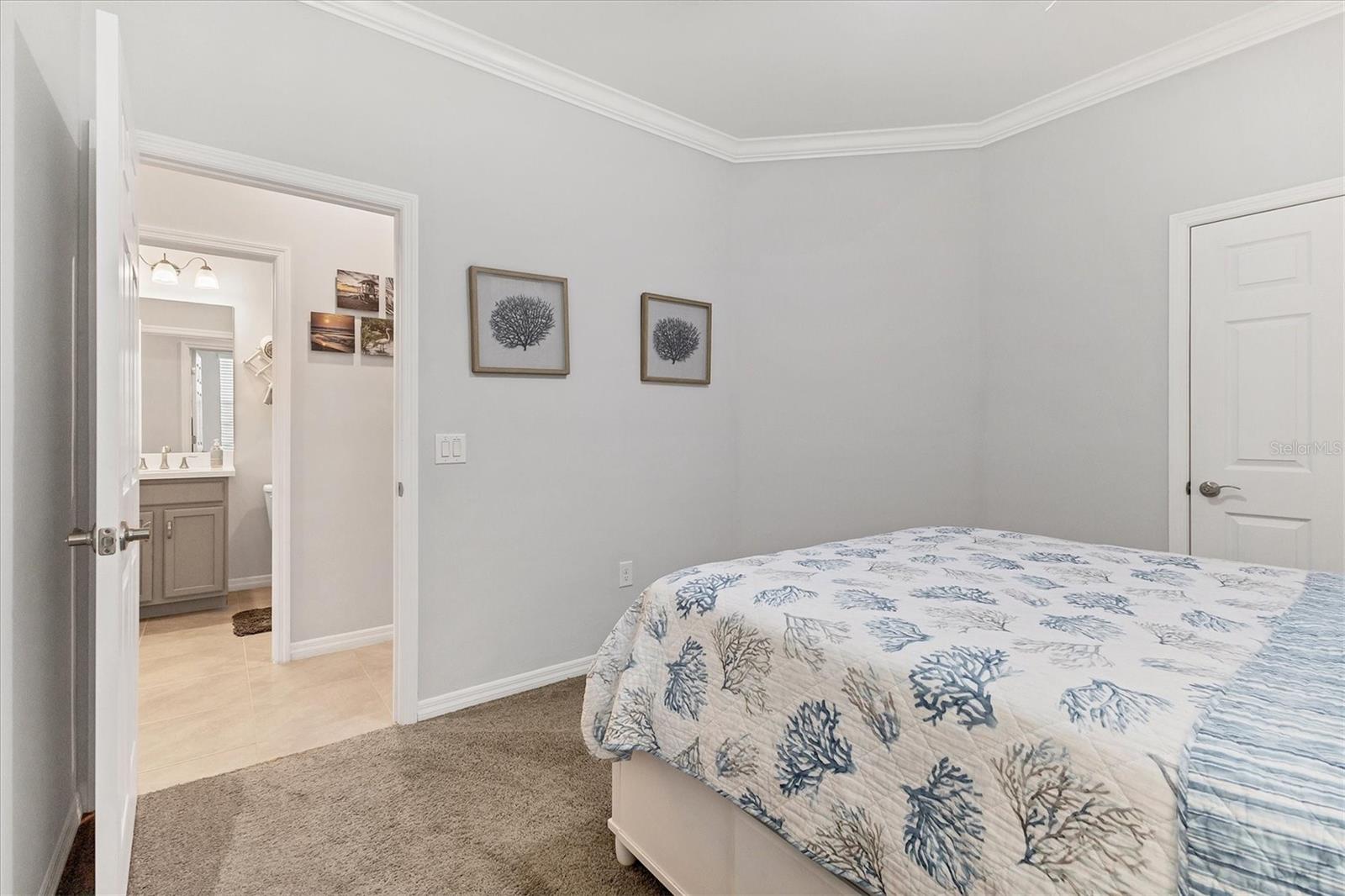 20628 SAINT KITTS WAY