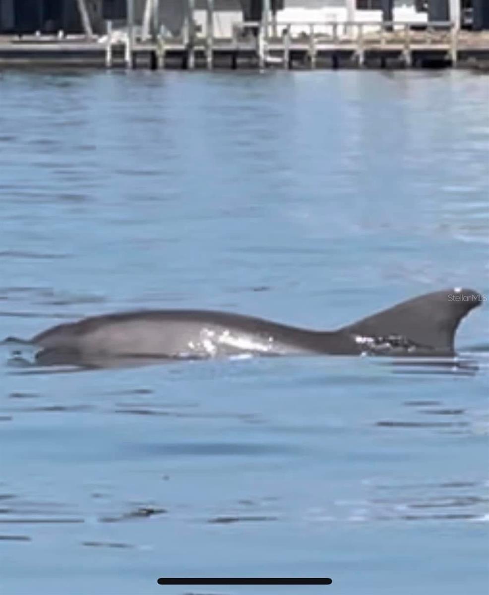 8074 SAINT KITTS CIR