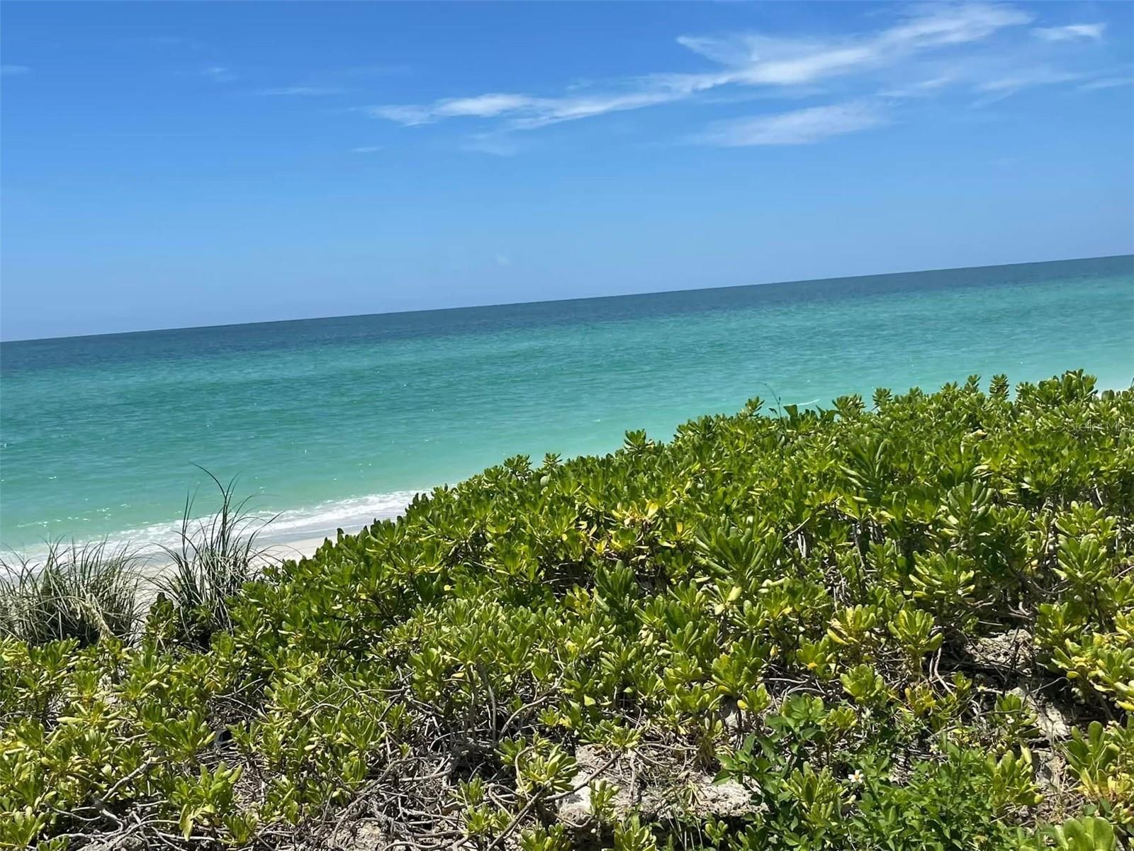 8134 SAINT KITTS CIR