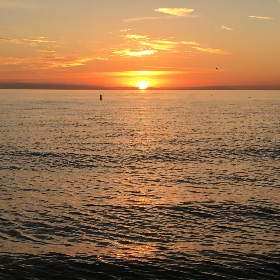 12550 CAPRI CIR N #3