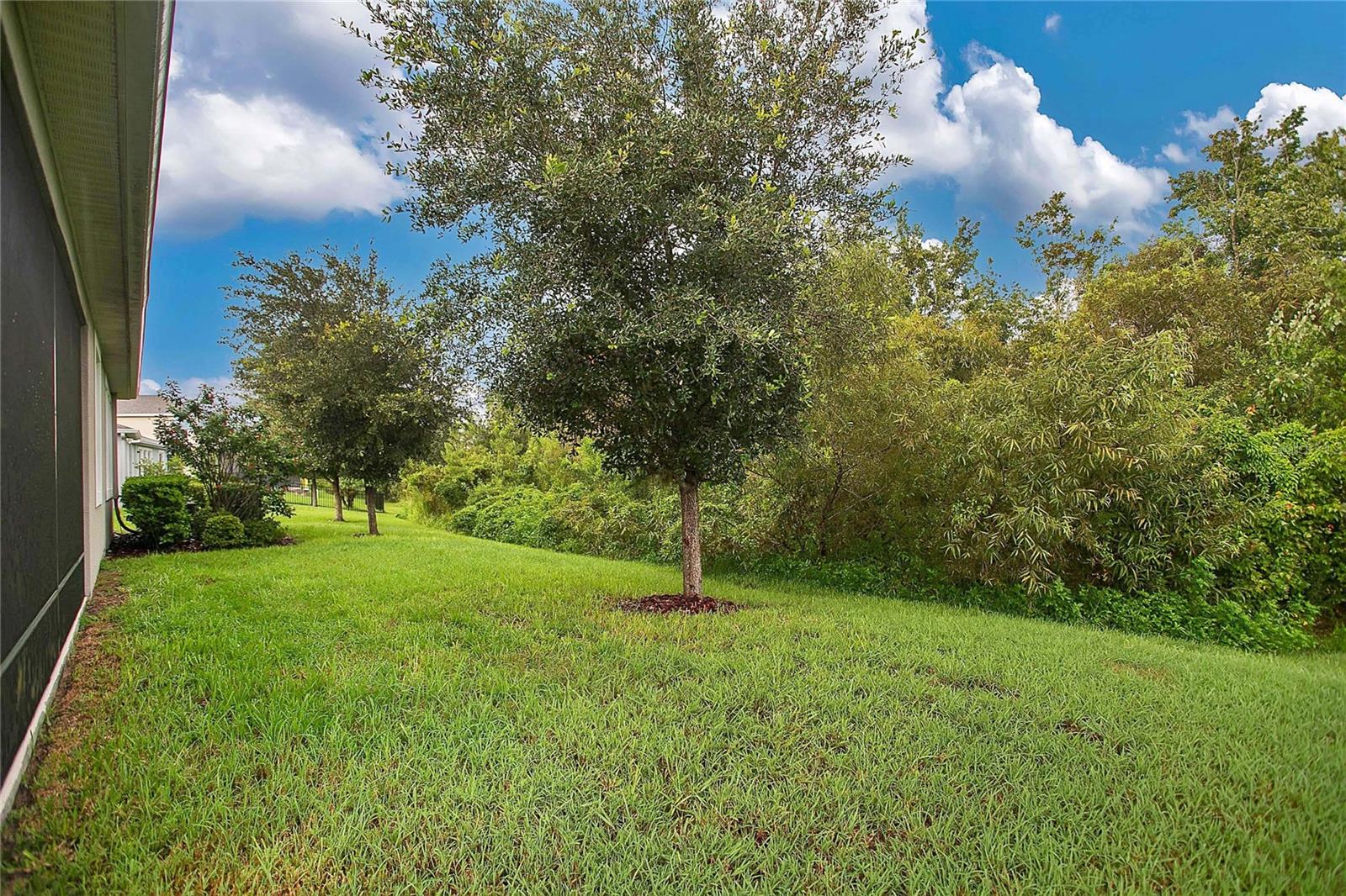 32176 GODDARD DR