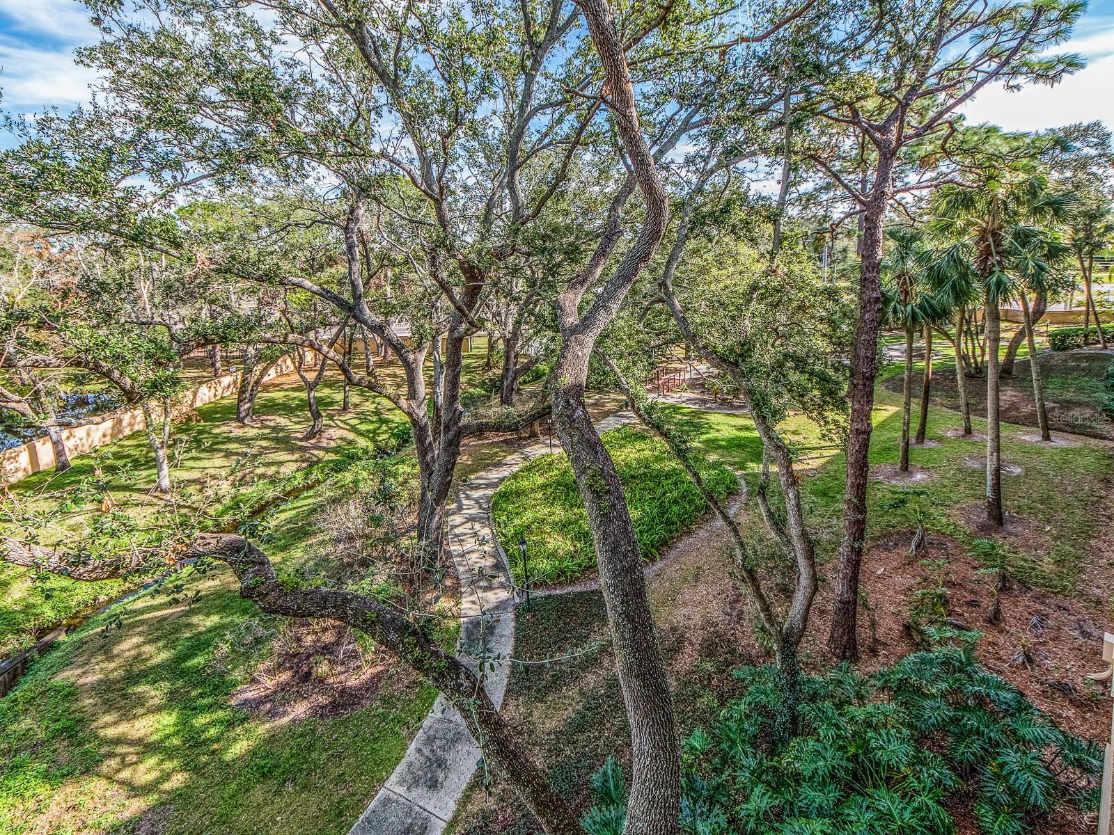 3062 EASTLAND BLVD #302D