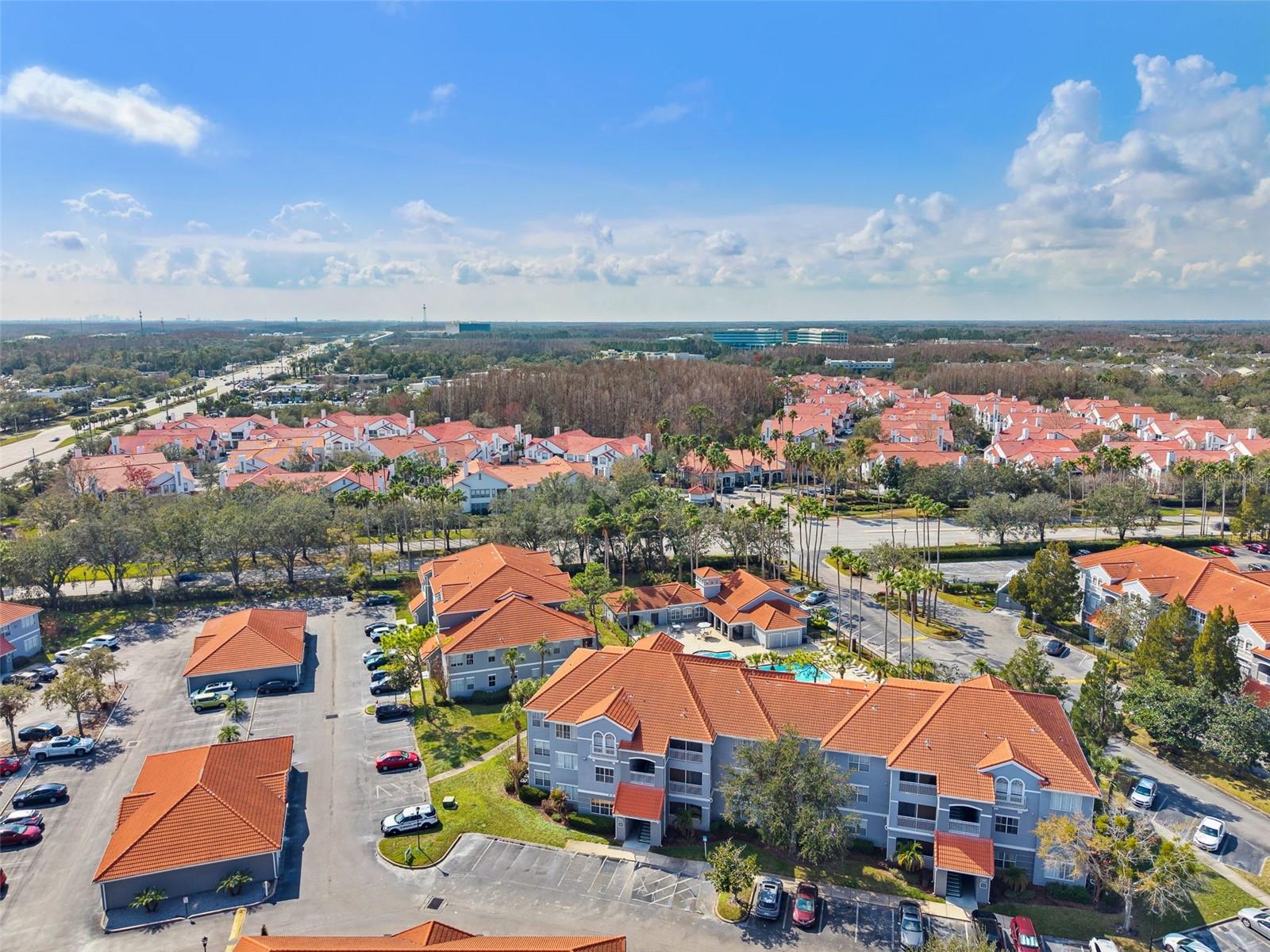 TAMPA
