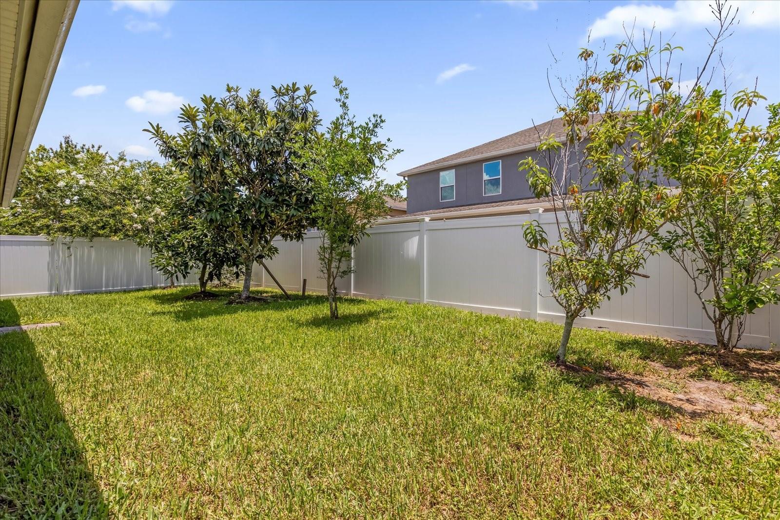 1111 BASSANO WAY