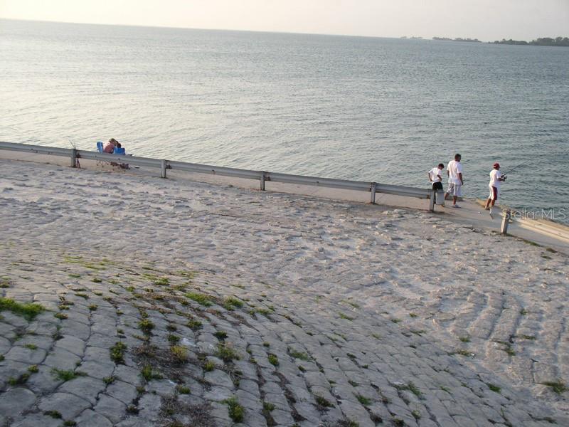 2700 BAYSHORE BLVD #508