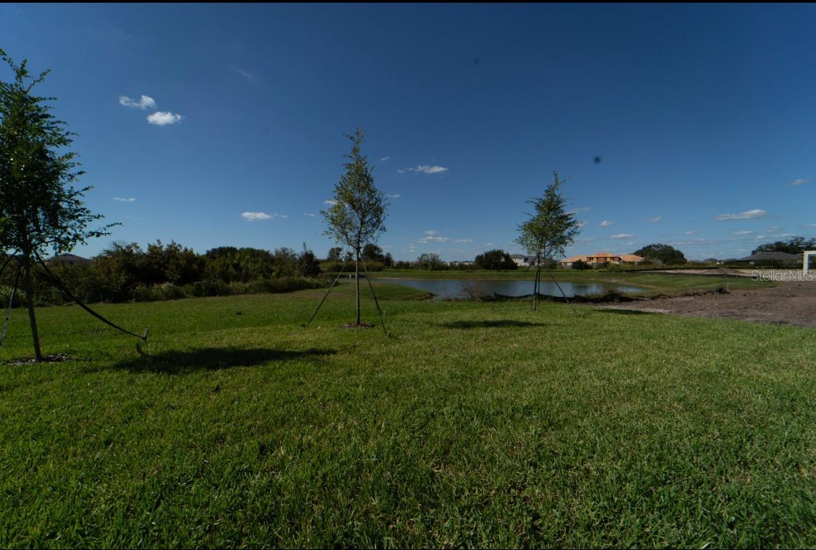 32087 GRIFFIN SANDS LN