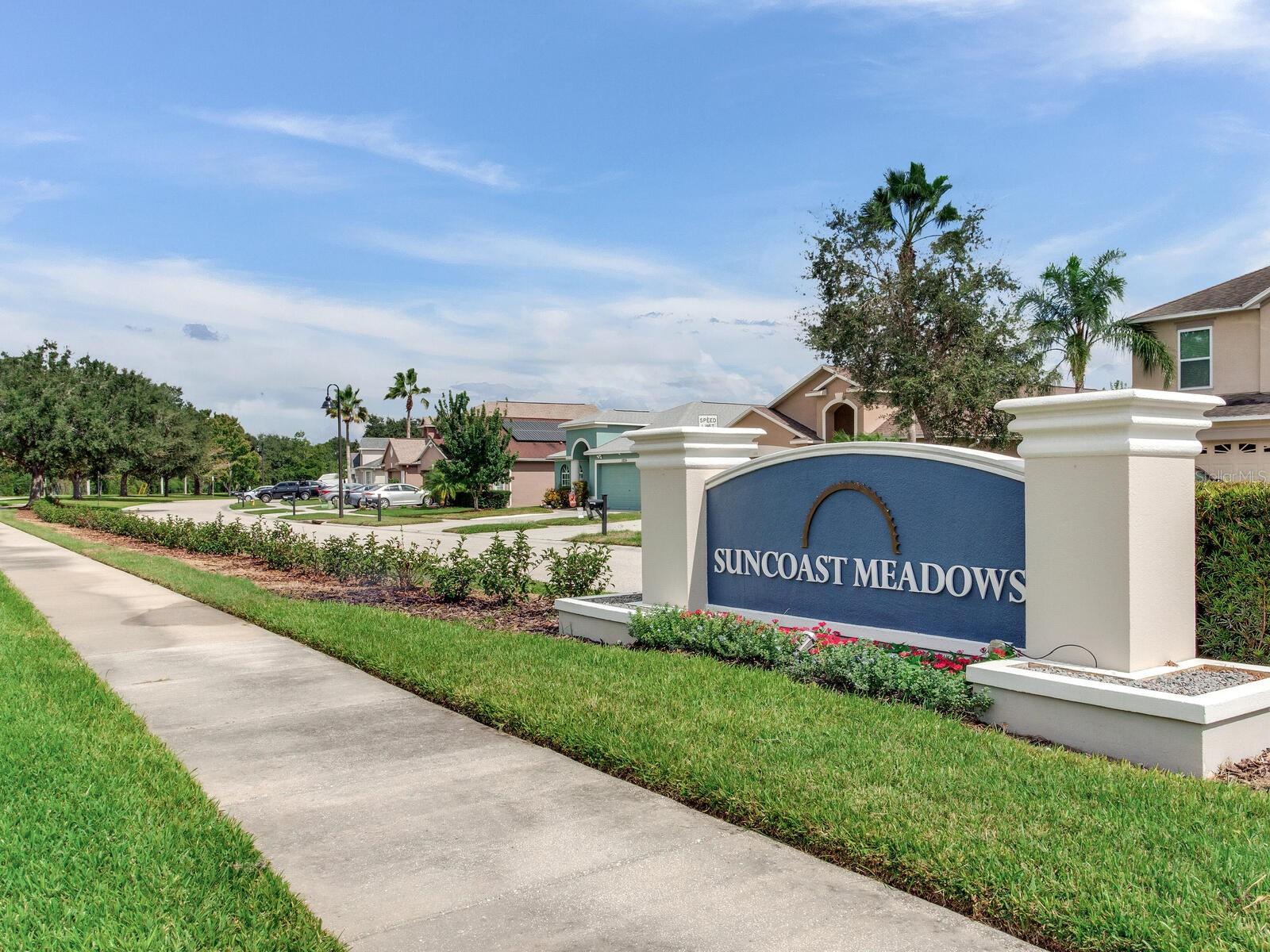 17433 LAWN ORCHID LOOP